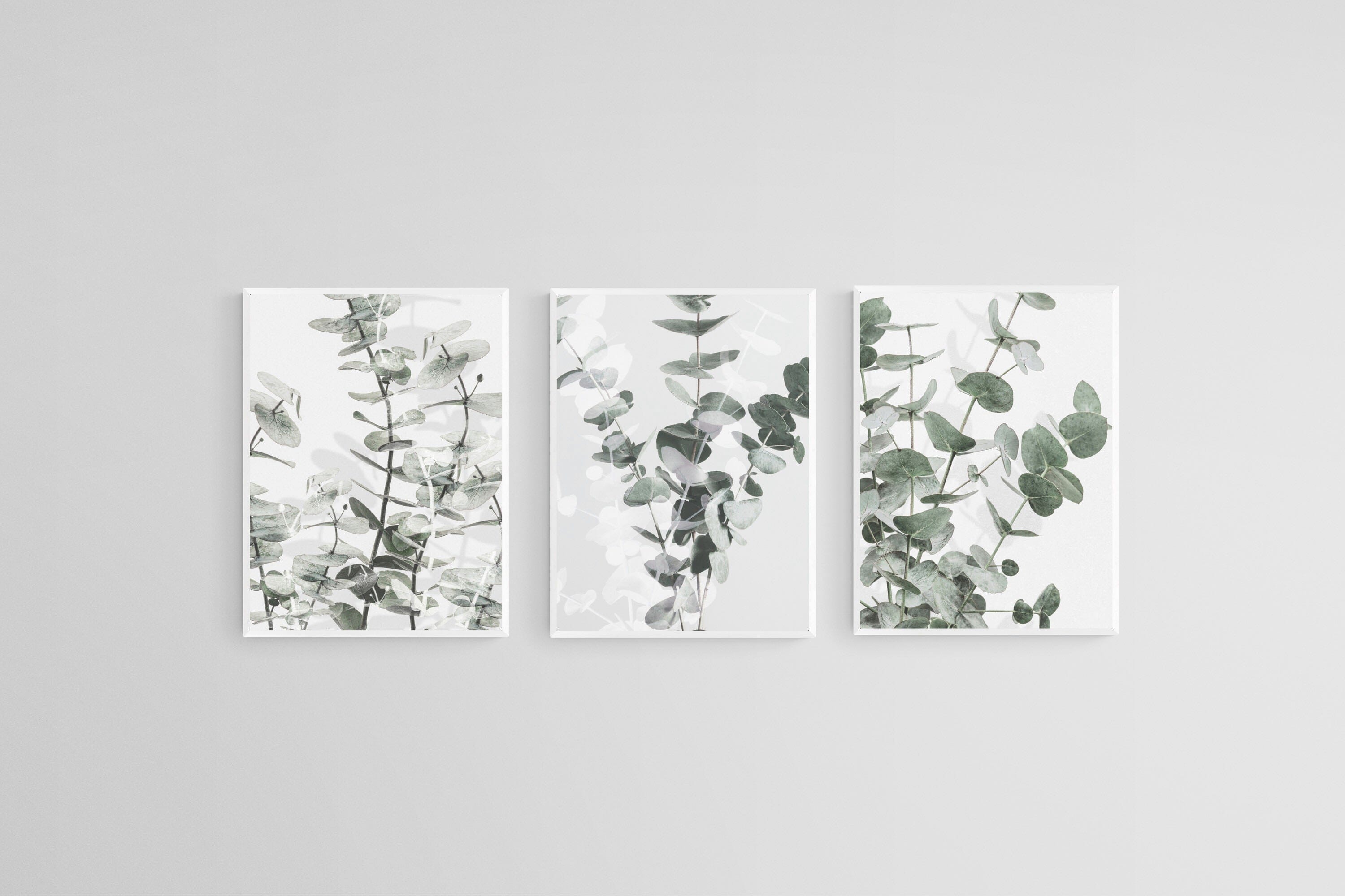 Eucalyptus Set-Wall_Art-45 x 60cm (x3)-Mounted Canvas-White-Pixalot