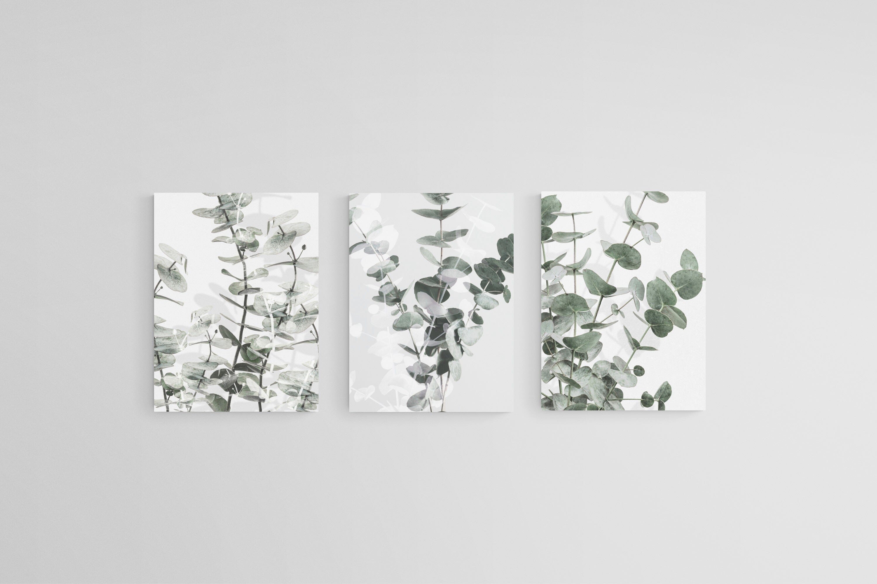 Eucalyptus Set-Wall_Art-45 x 60cm (x3)-Mounted Canvas-No Frame-Pixalot