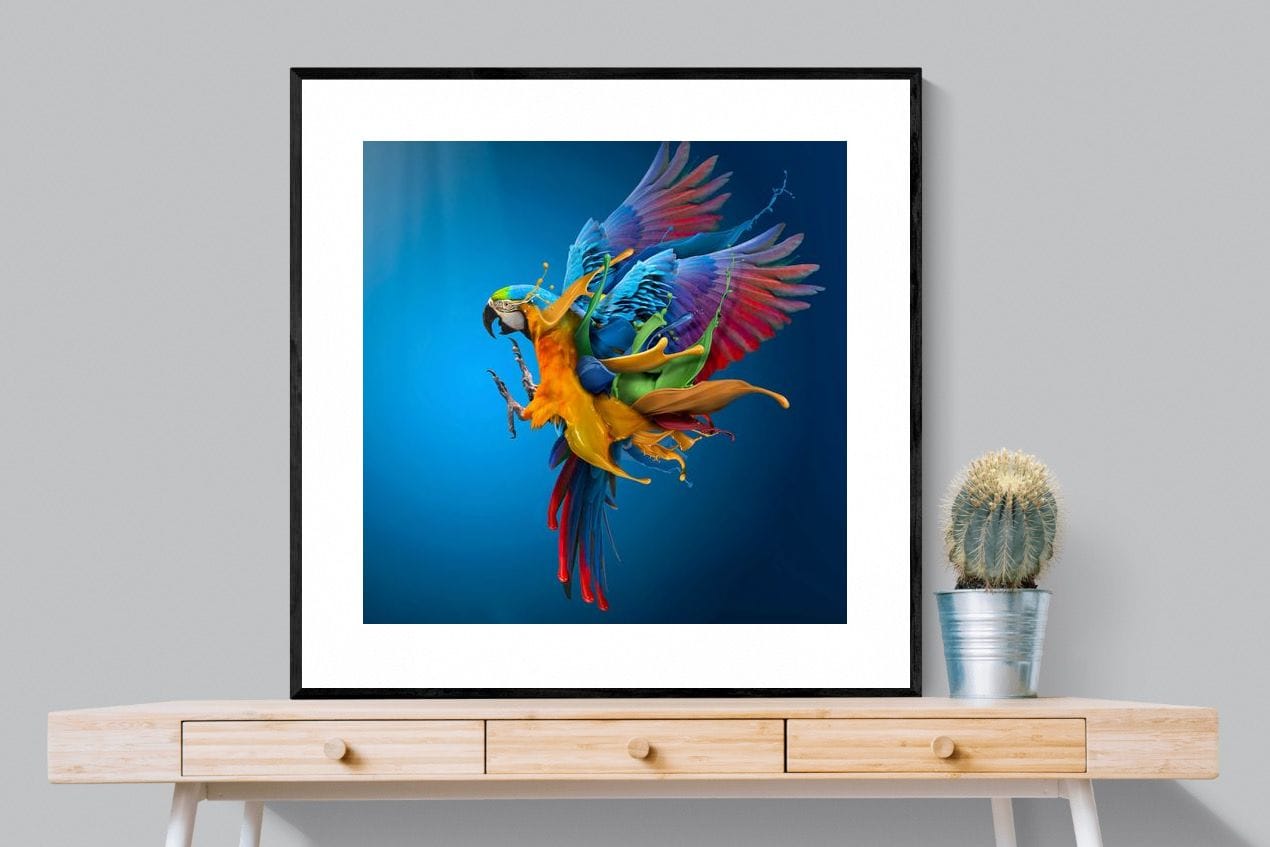 Flying Colours-Wall_Art-100 x 100cm-Framed Print-Black-Pixalot