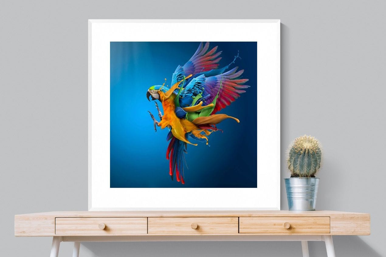 Flying Colours-Wall_Art-100 x 100cm-Framed Print-White-Pixalot