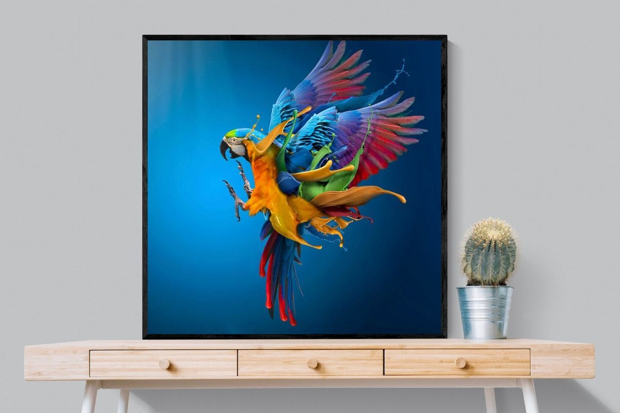 Flying Colours-Wall_Art-100 x 100cm-Mounted Canvas-Black-Pixalot