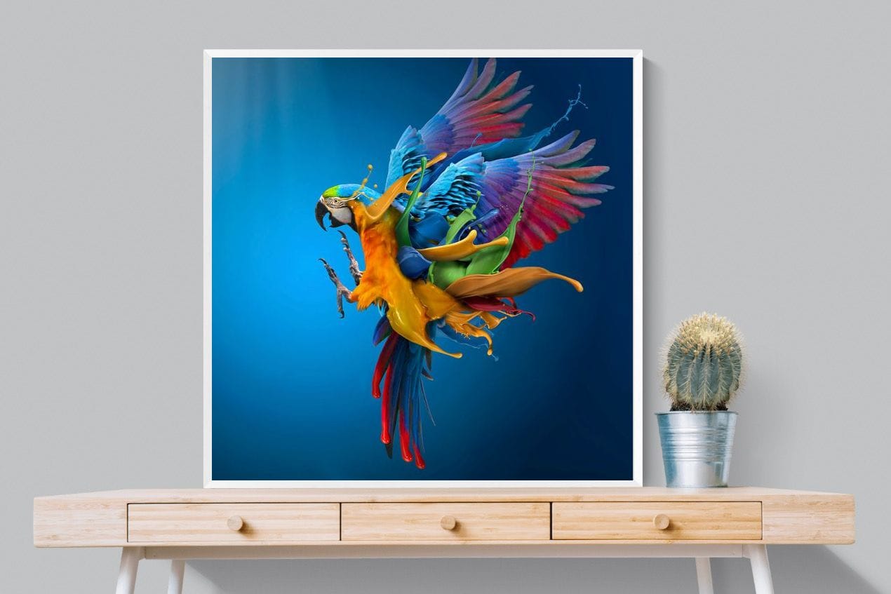 Flying Colours-Wall_Art-100 x 100cm-Mounted Canvas-White-Pixalot