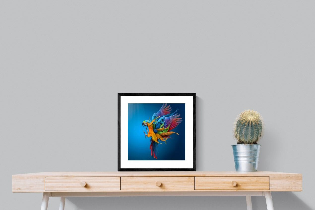 Flying Colours-Wall_Art-50 x 50cm-Framed Print-Black-Pixalot