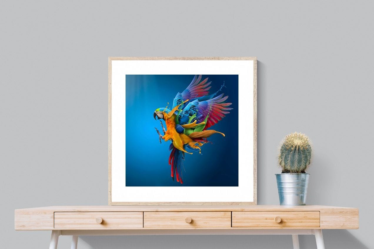 Flying Colours-Wall_Art-80 x 80cm-Framed Print-Wood-Pixalot