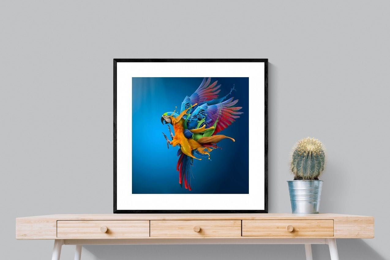 Flying Colours-Wall_Art-80 x 80cm-Framed Print-Black-Pixalot
