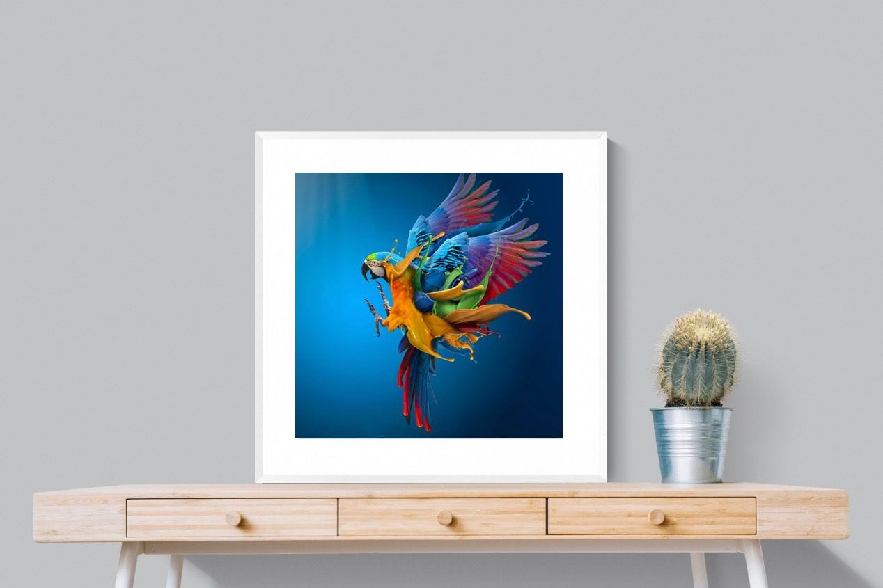 Flying Colours-Wall_Art-80 x 80cm-Framed Print-White-Pixalot