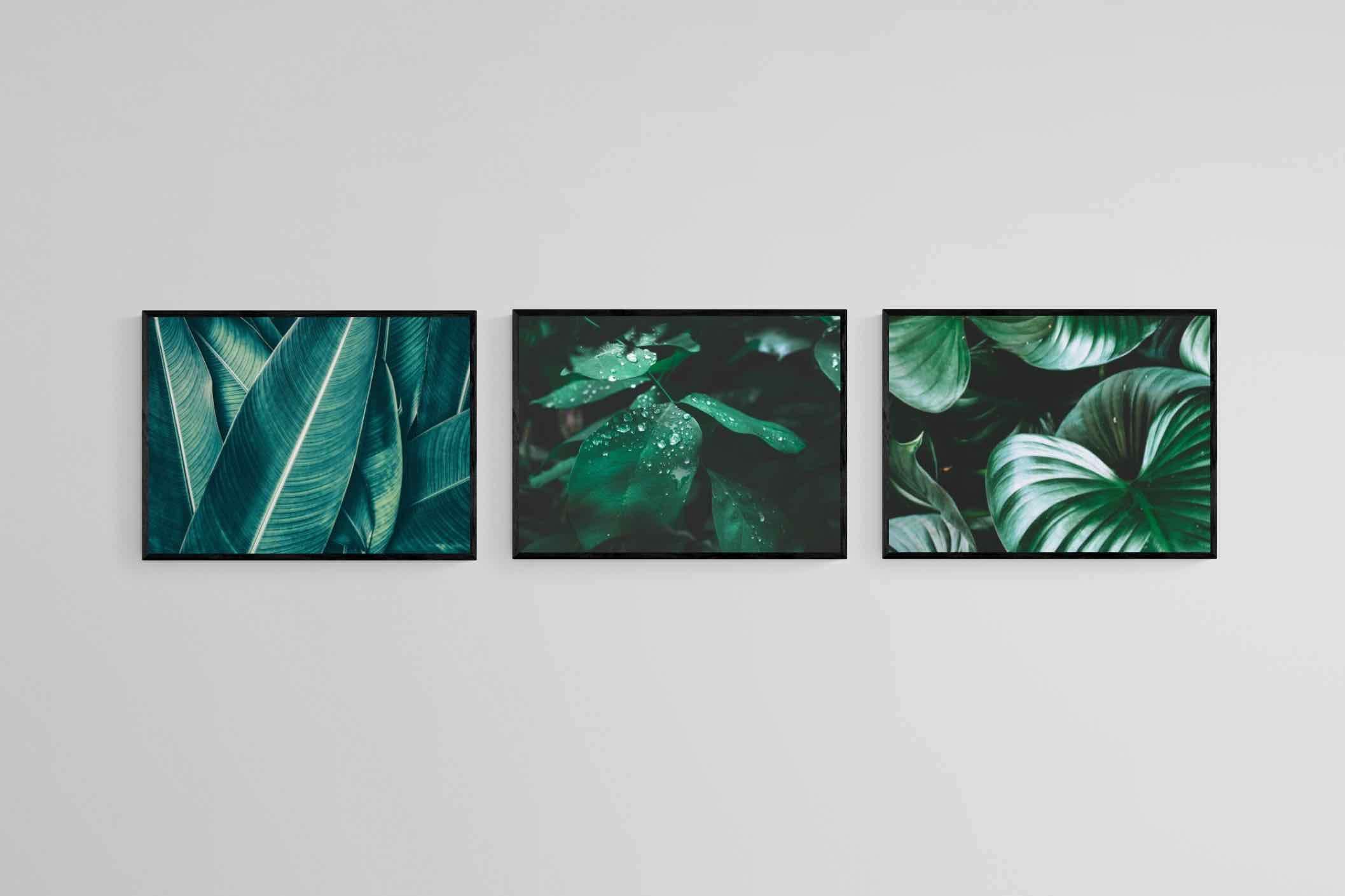 Foliage Set-Wall_Art-60 x 45cm (x3)-Mounted Canvas-Black-Pixalot