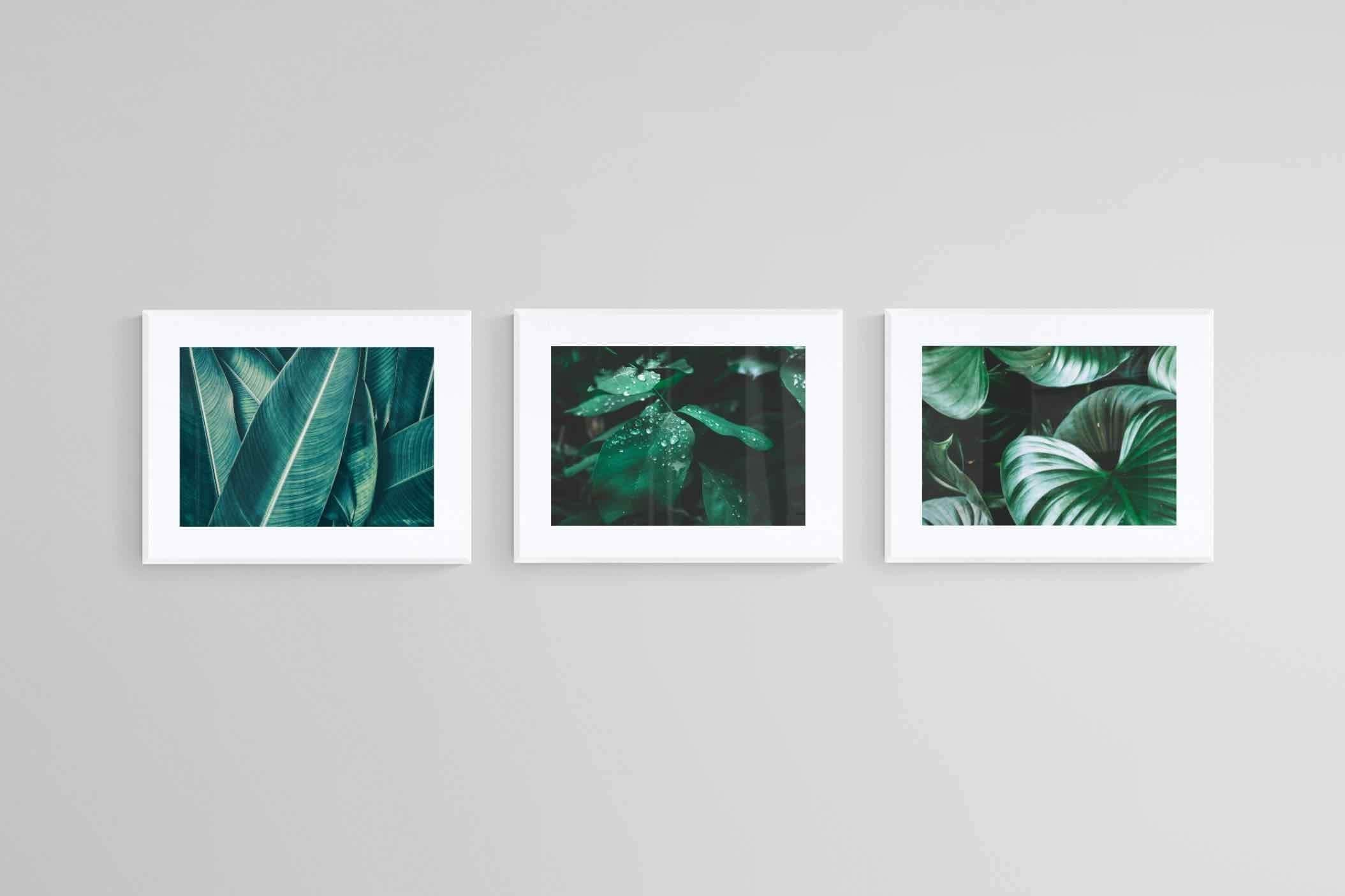 Foliage Set-Wall_Art-80 x 60cm (x3)-Framed Print-White-Pixalot