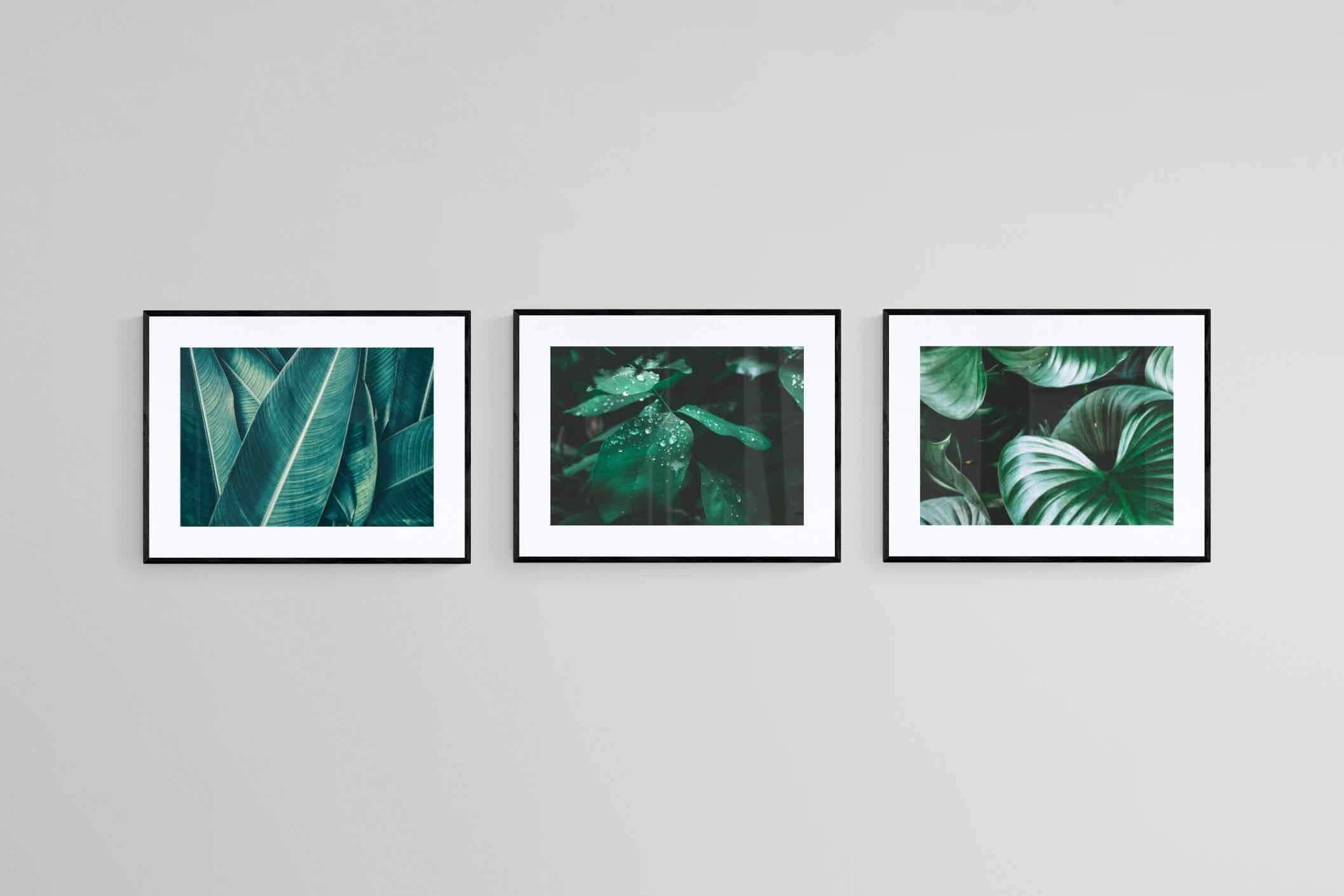 Foliage Set-Wall_Art-80 x 60cm (x3)-Framed Print-Black-Pixalot