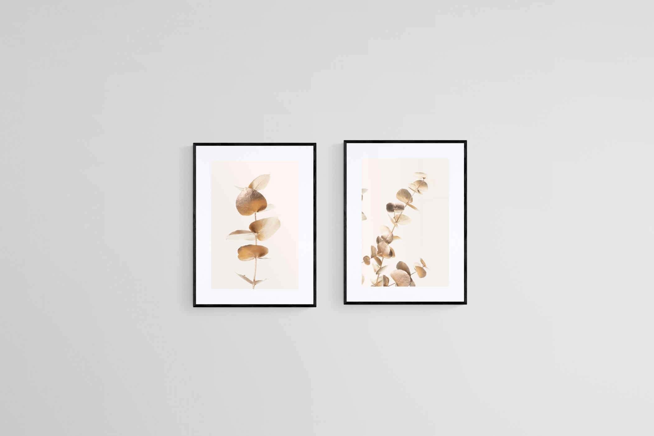 Golden Eucalyptus Set-Wall_Art-45 x 60cm (x2)-Framed Print-Black-Pixalot