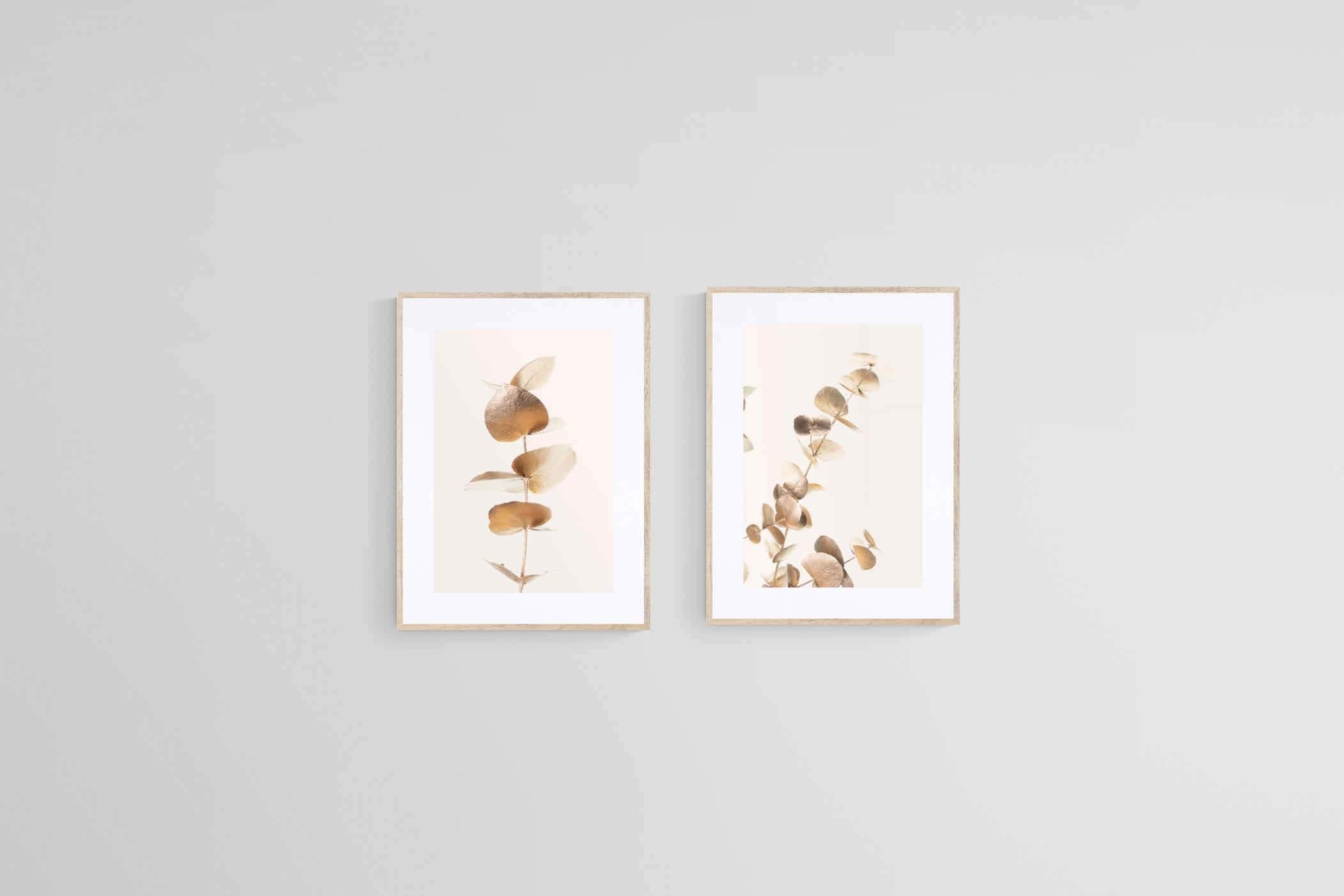 Golden Eucalyptus Set-Wall_Art-45 x 60cm (x2)-Framed Print-Wood-Pixalot