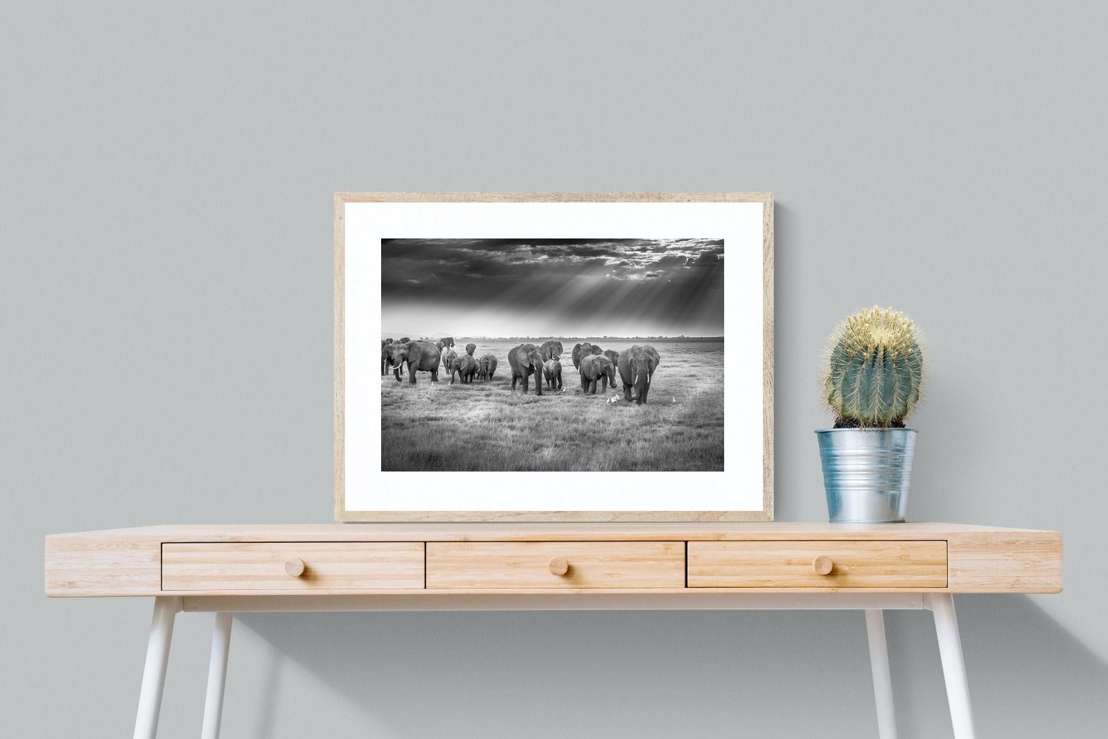 Grazing Elephants-Wall_Art-80 x 60cm-Framed Print-Wood-Pixalot