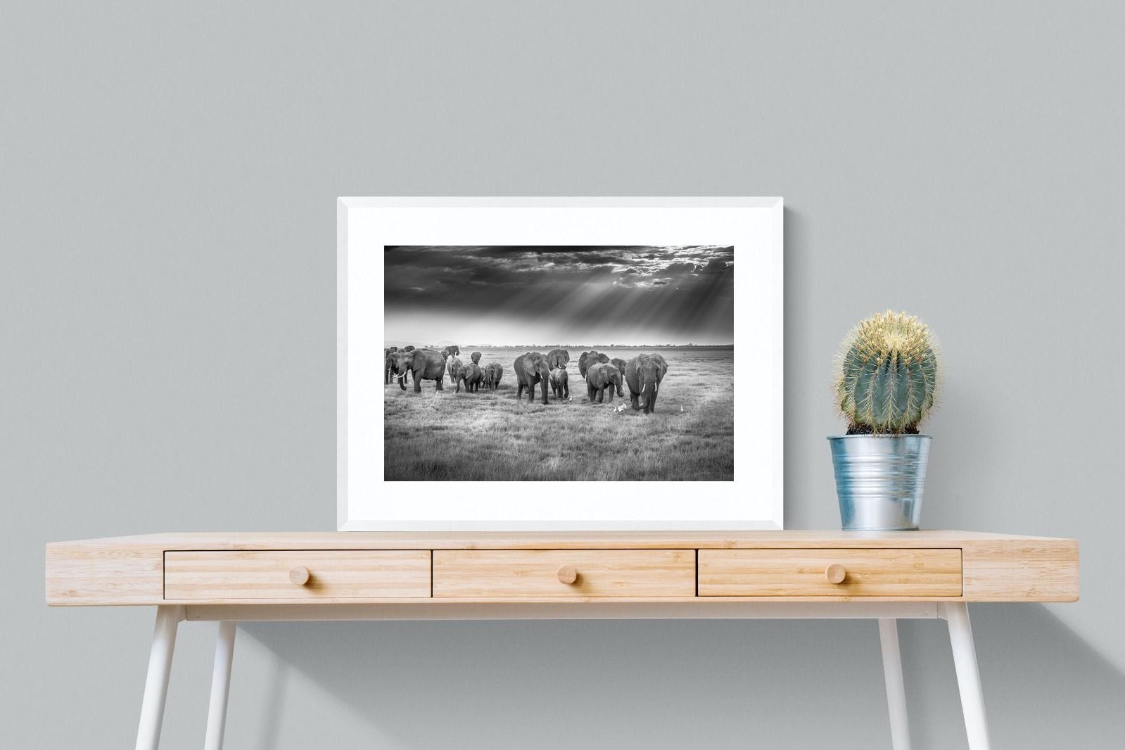 Grazing Elephants-Wall_Art-80 x 60cm-Framed Print-White-Pixalot