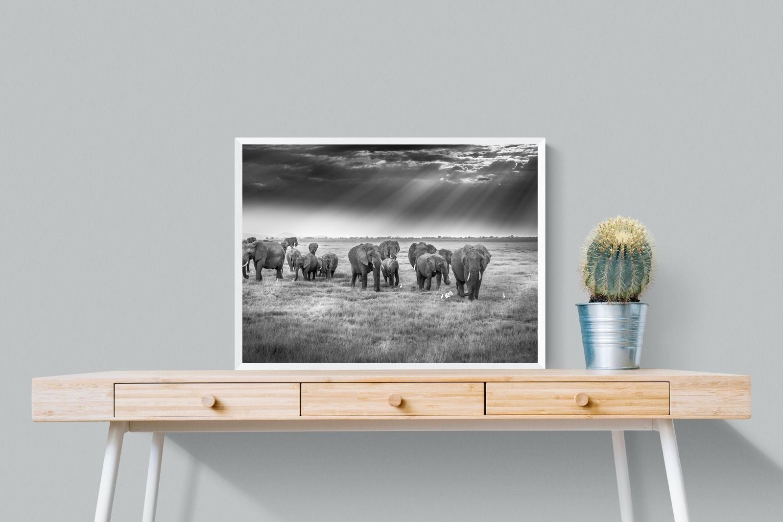 Grazing Elephants-Wall_Art-80 x 60cm-Mounted Canvas-White-Pixalot