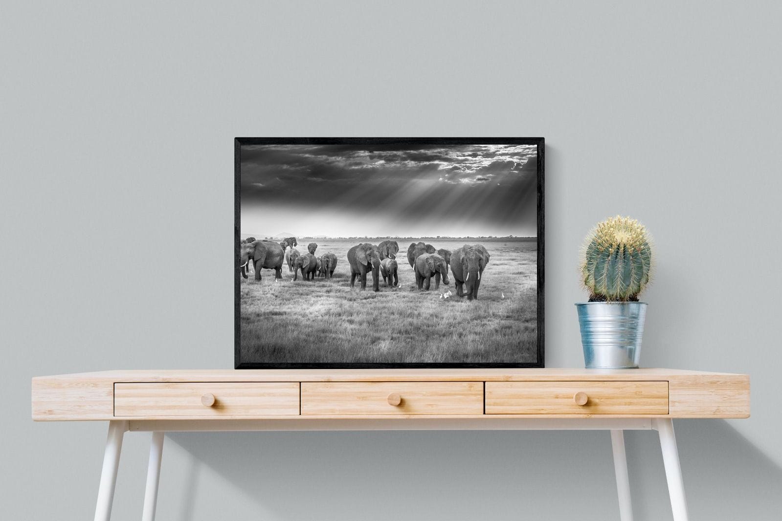 Grazing Elephants-Wall_Art-80 x 60cm-Mounted Canvas-Black-Pixalot