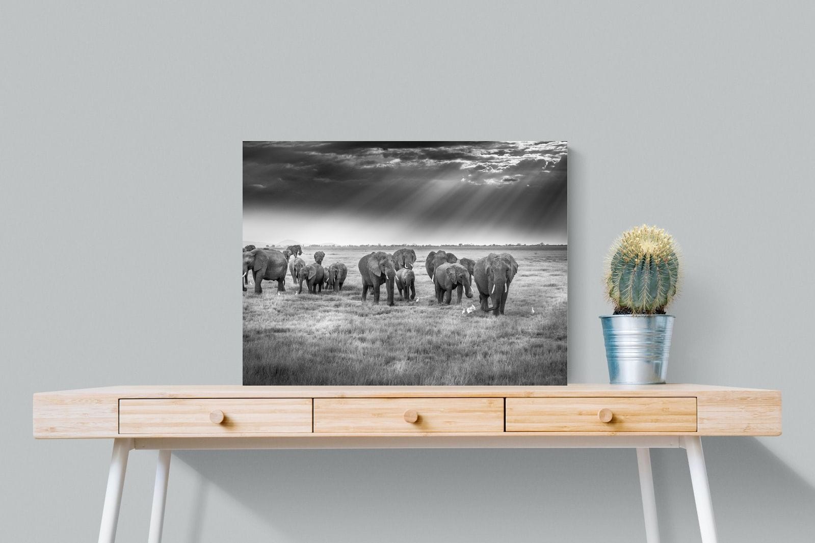 Grazing Elephants-Wall_Art-80 x 60cm-Mounted Canvas-No Frame-Pixalot