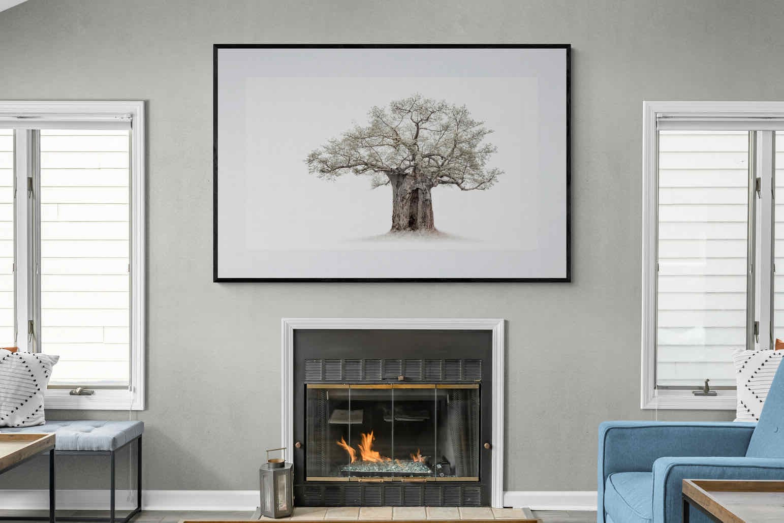High Key Baobab-Wall_Art-150 x 100cm-Framed Print-Black-Pixalot