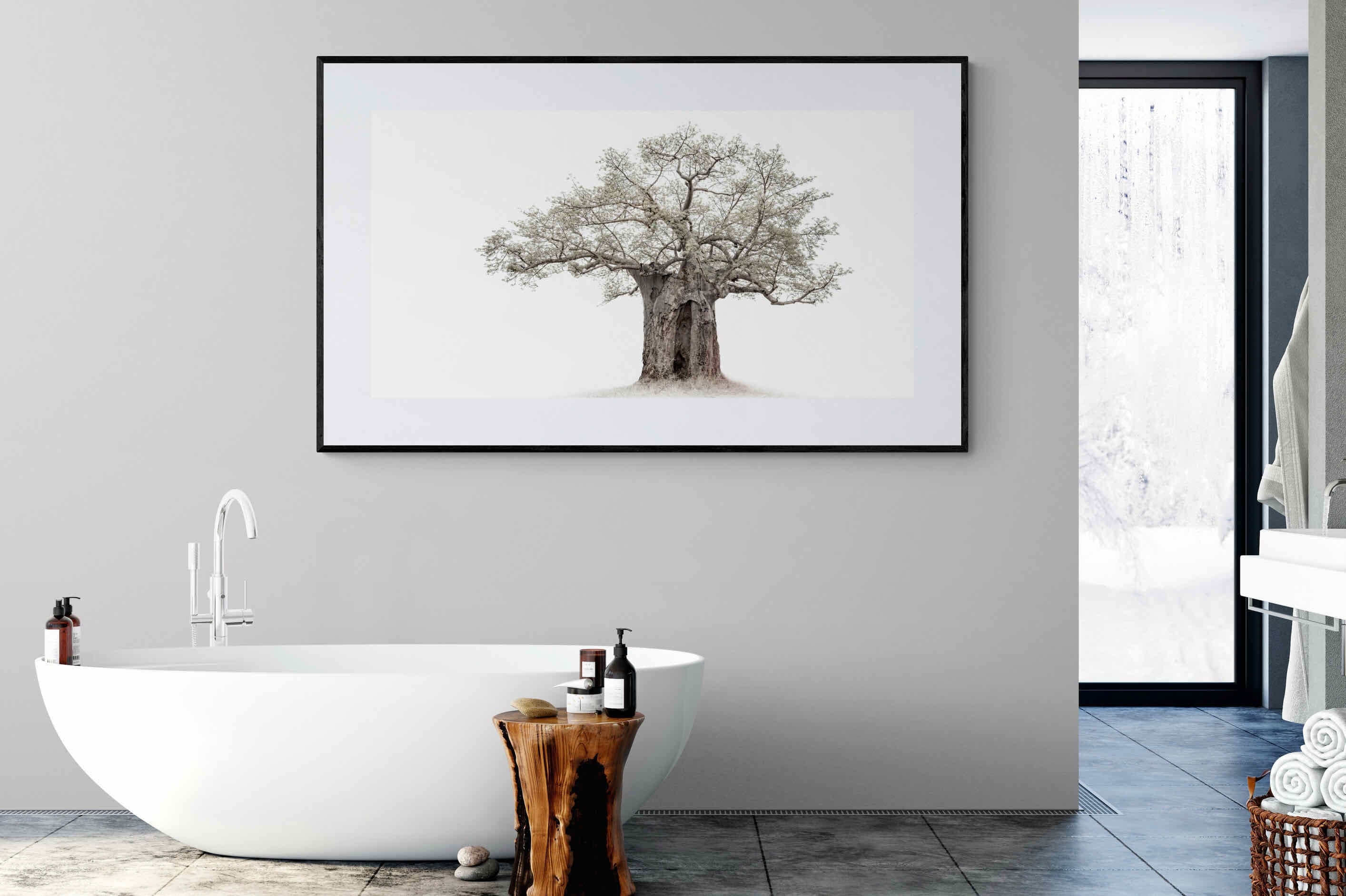 High Key Baobab-Wall_Art-180 x 110cm-Framed Print-Black-Pixalot