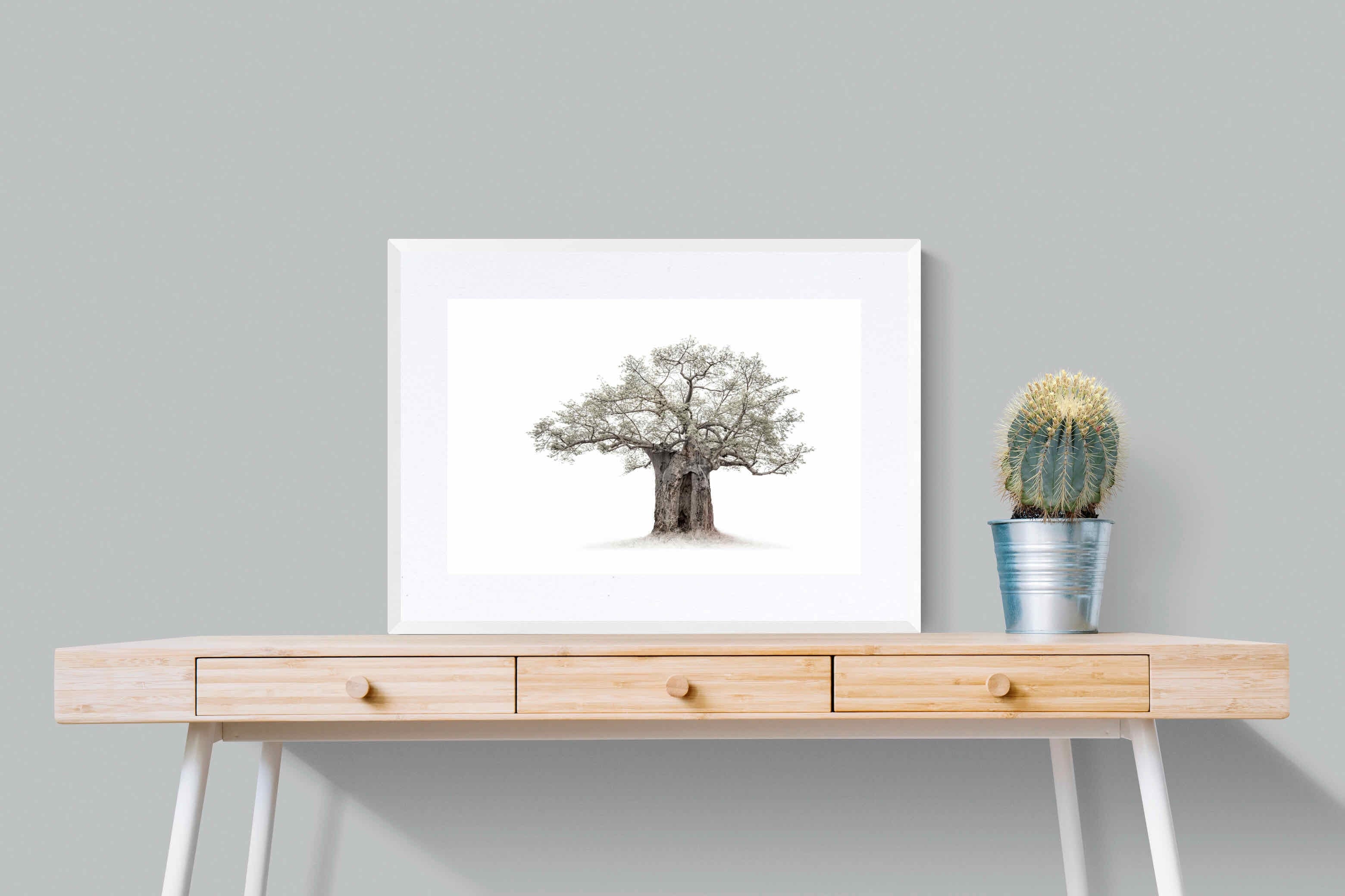High Key Baobab-Wall_Art-80 x 60cm-Framed Print-White-Pixalot