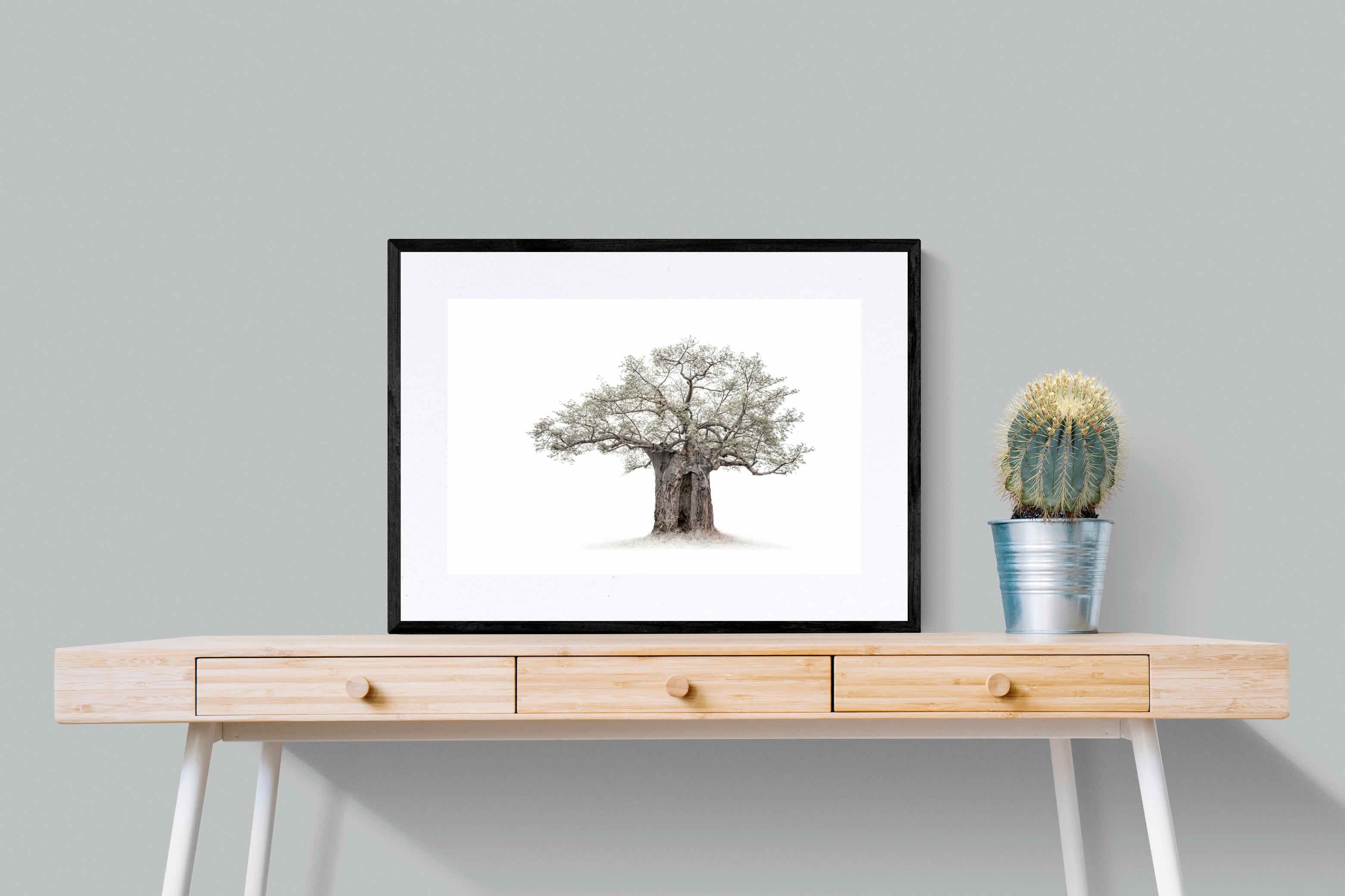 High Key Baobab-Wall_Art-80 x 60cm-Framed Print-Black-Pixalot