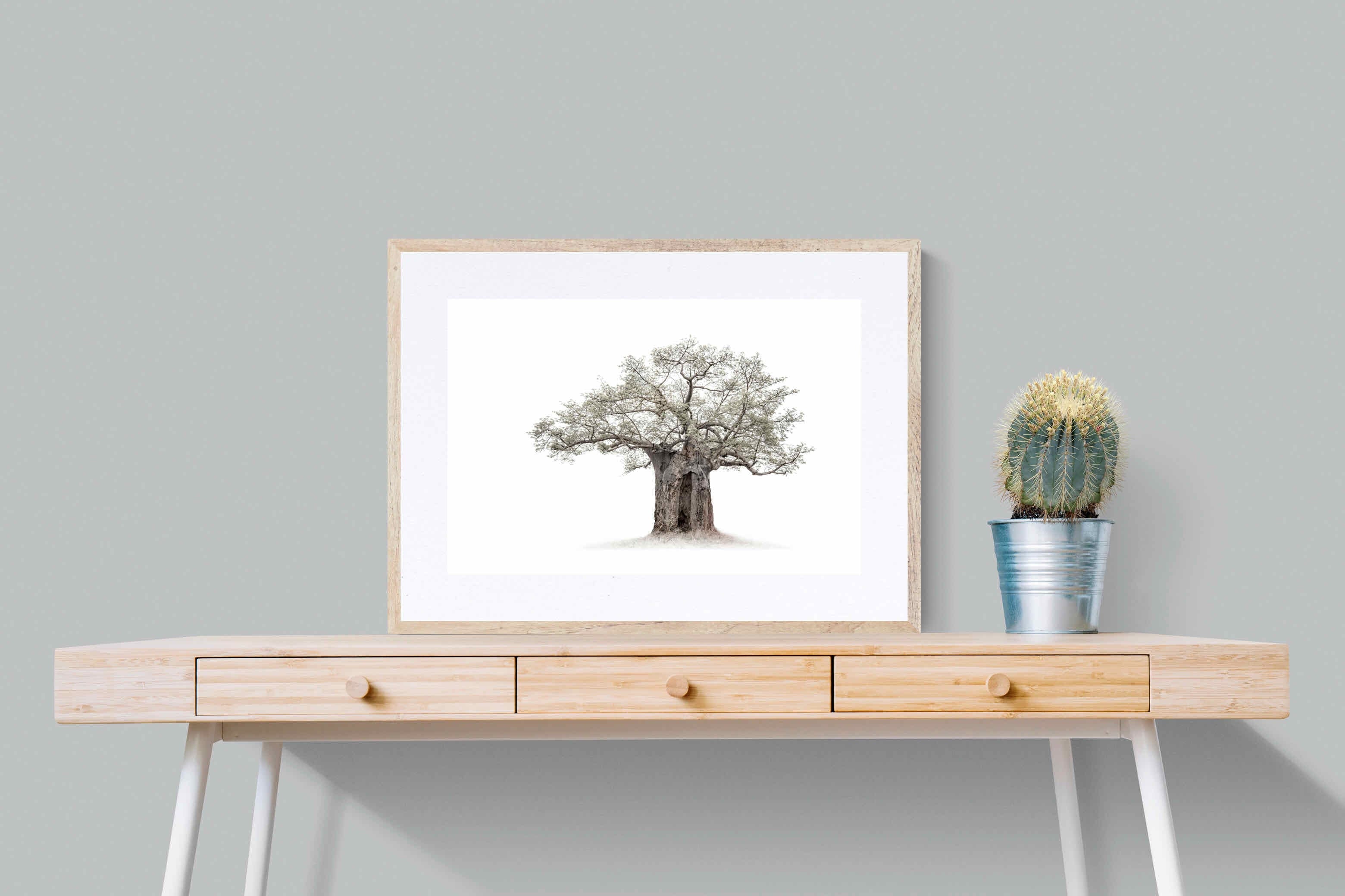High Key Baobab-Wall_Art-80 x 60cm-Framed Print-Wood-Pixalot