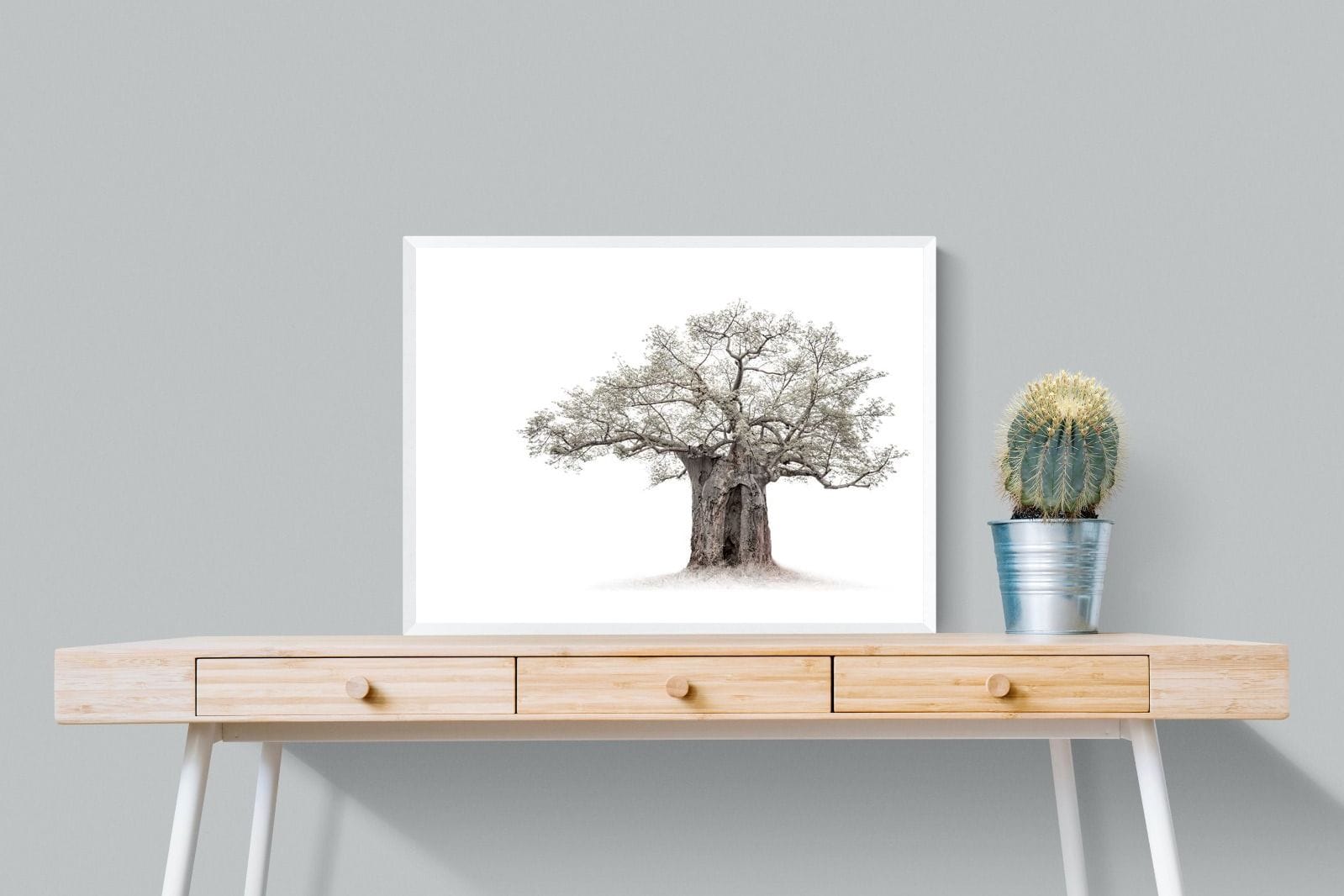 High Key Baobab-Wall_Art-80 x 60cm-Mounted Canvas-White-Pixalot