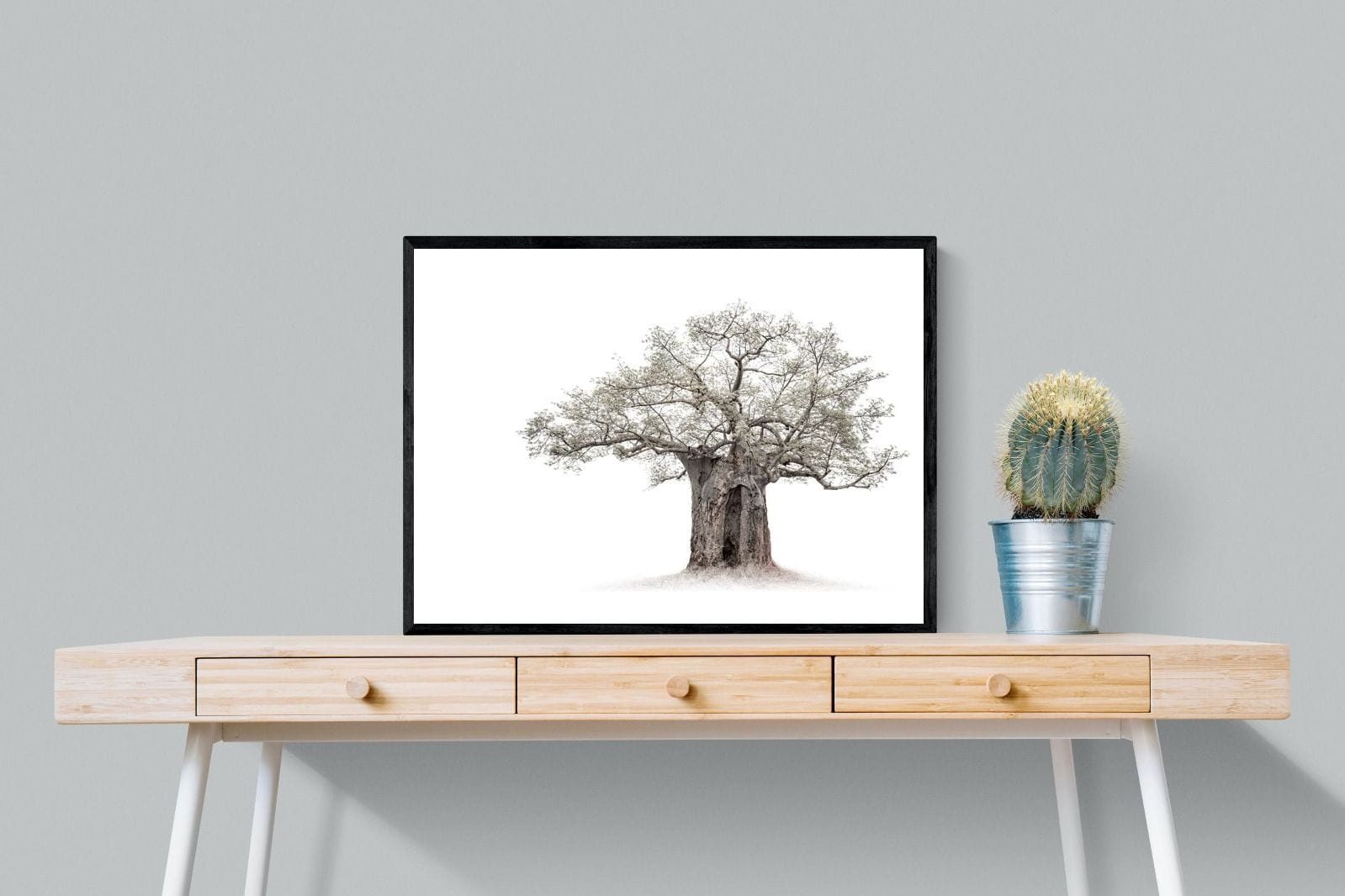 High Key Baobab-Wall_Art-80 x 60cm-Mounted Canvas-Black-Pixalot