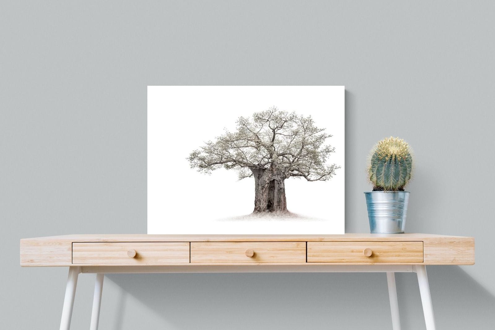 High Key Baobab-Wall_Art-80 x 60cm-Mounted Canvas-No Frame-Pixalot