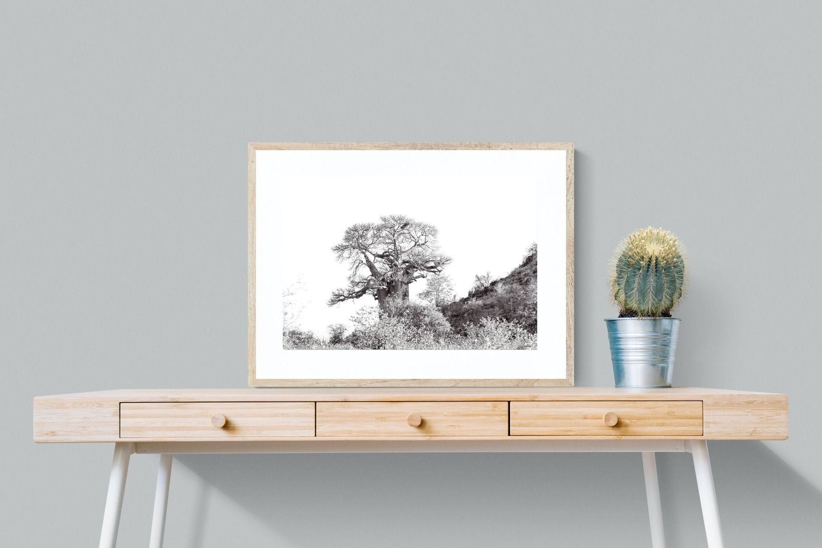Hillside Baobab-Wall_Art-80 x 60cm-Framed Print-Wood-Pixalot