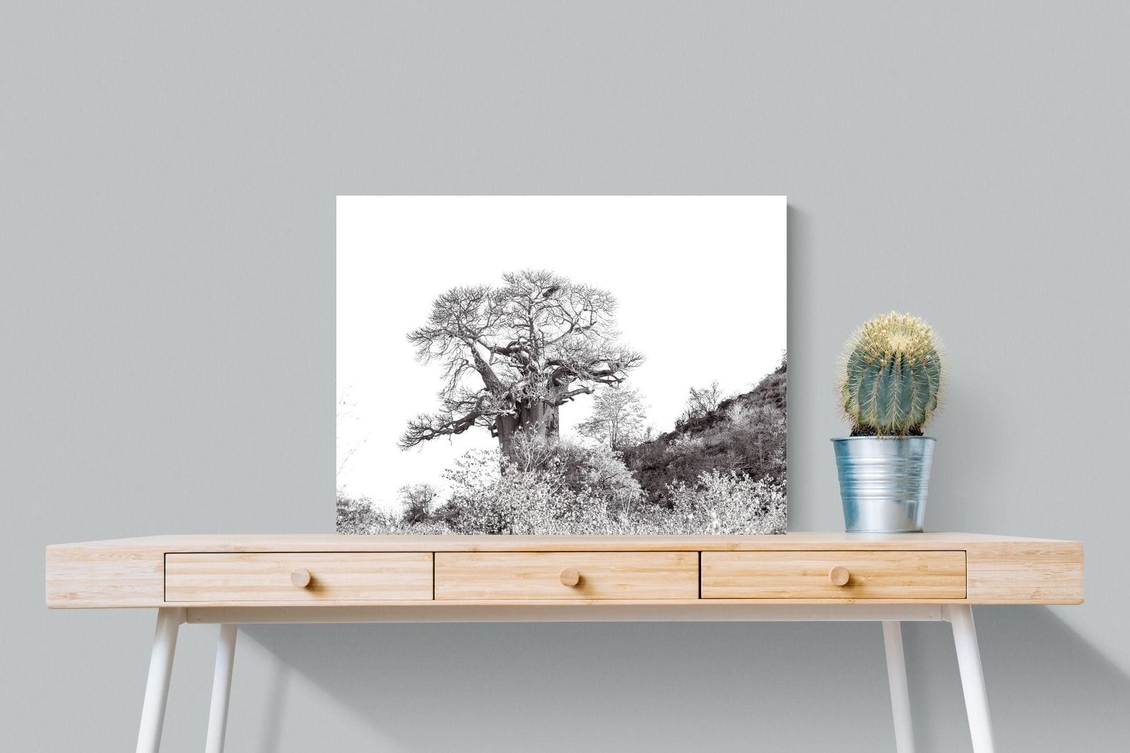 Hillside Baobab-Wall_Art-80 x 60cm-Mounted Canvas-No Frame-Pixalot