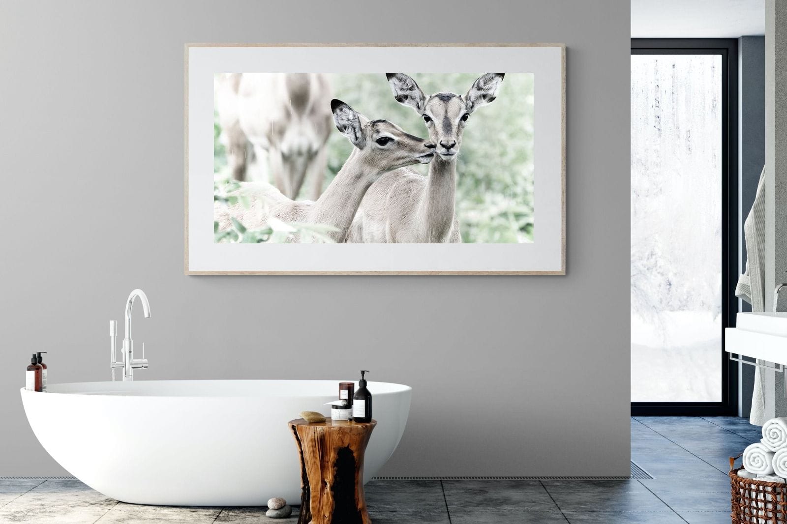 Impala Kisses-Wall_Art-180 x 110cm-Framed Print-Wood-Pixalot