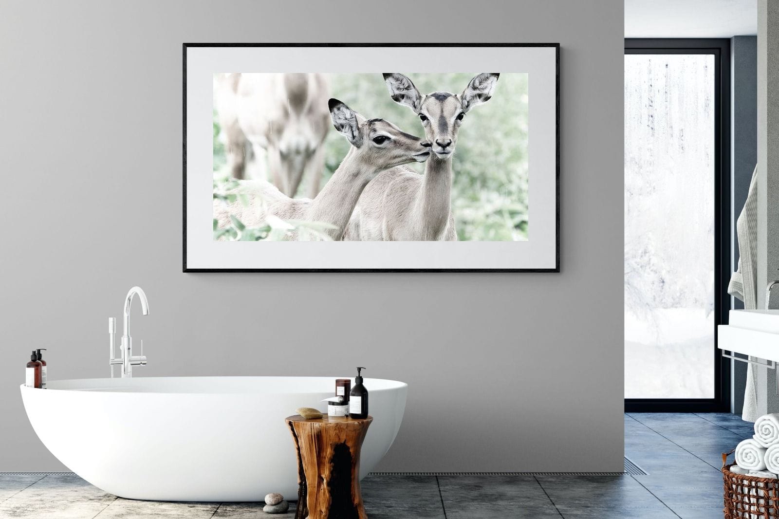 Impala Kisses-Wall_Art-180 x 110cm-Framed Print-Black-Pixalot