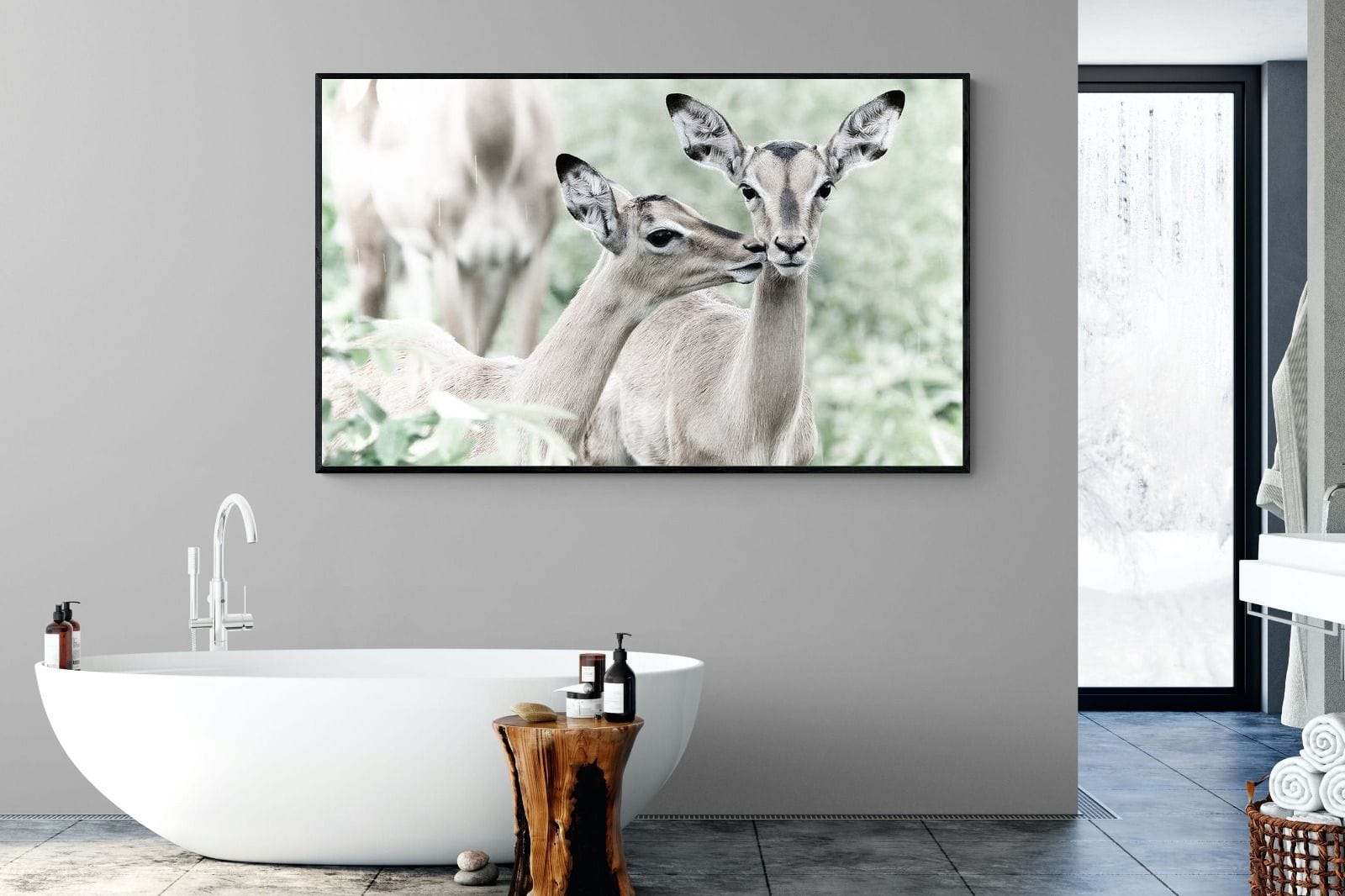 Impala Kisses-Wall_Art-180 x 110cm-Mounted Canvas-Black-Pixalot