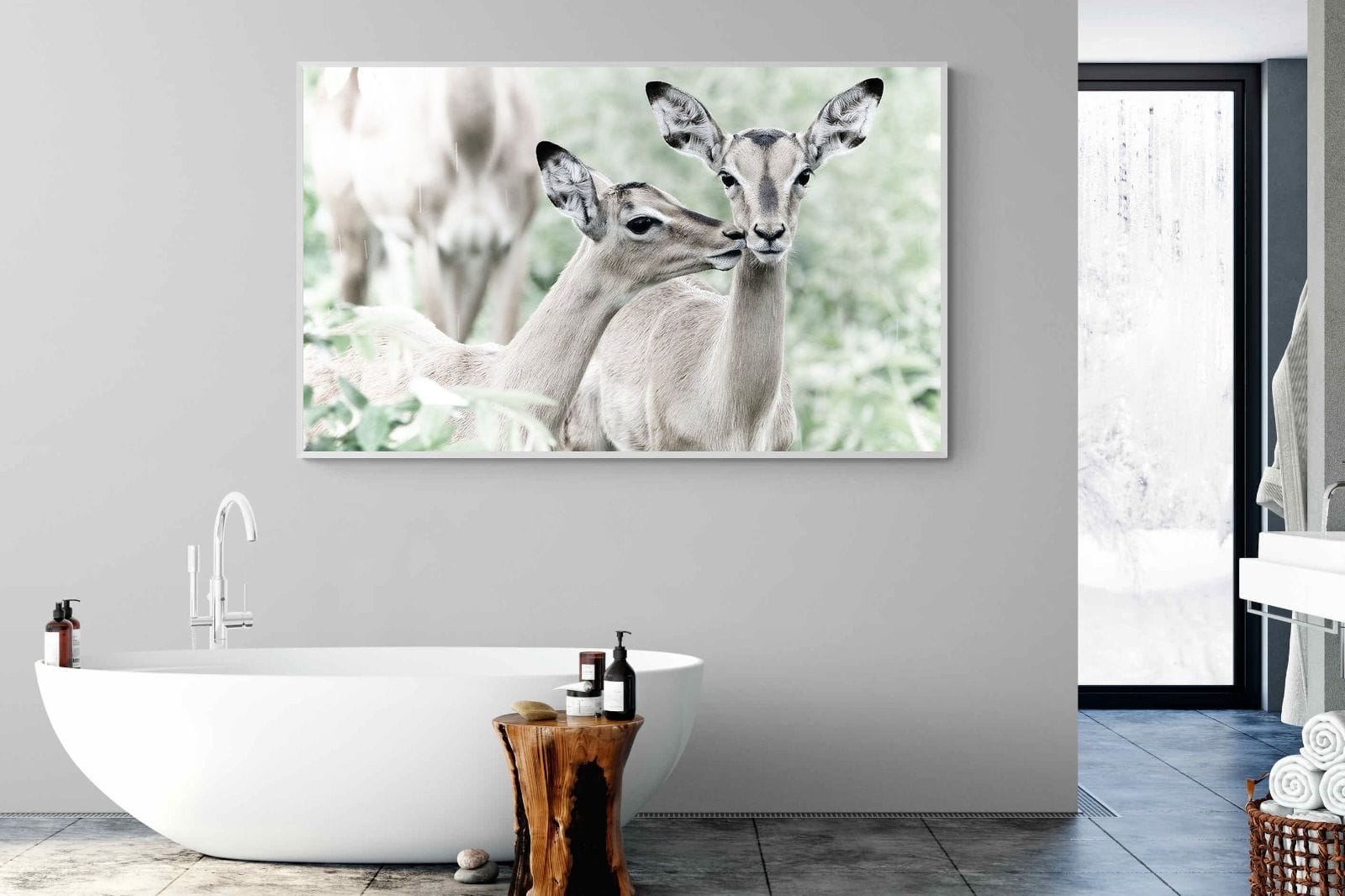 Impala Kisses-Wall_Art-180 x 110cm-Mounted Canvas-White-Pixalot