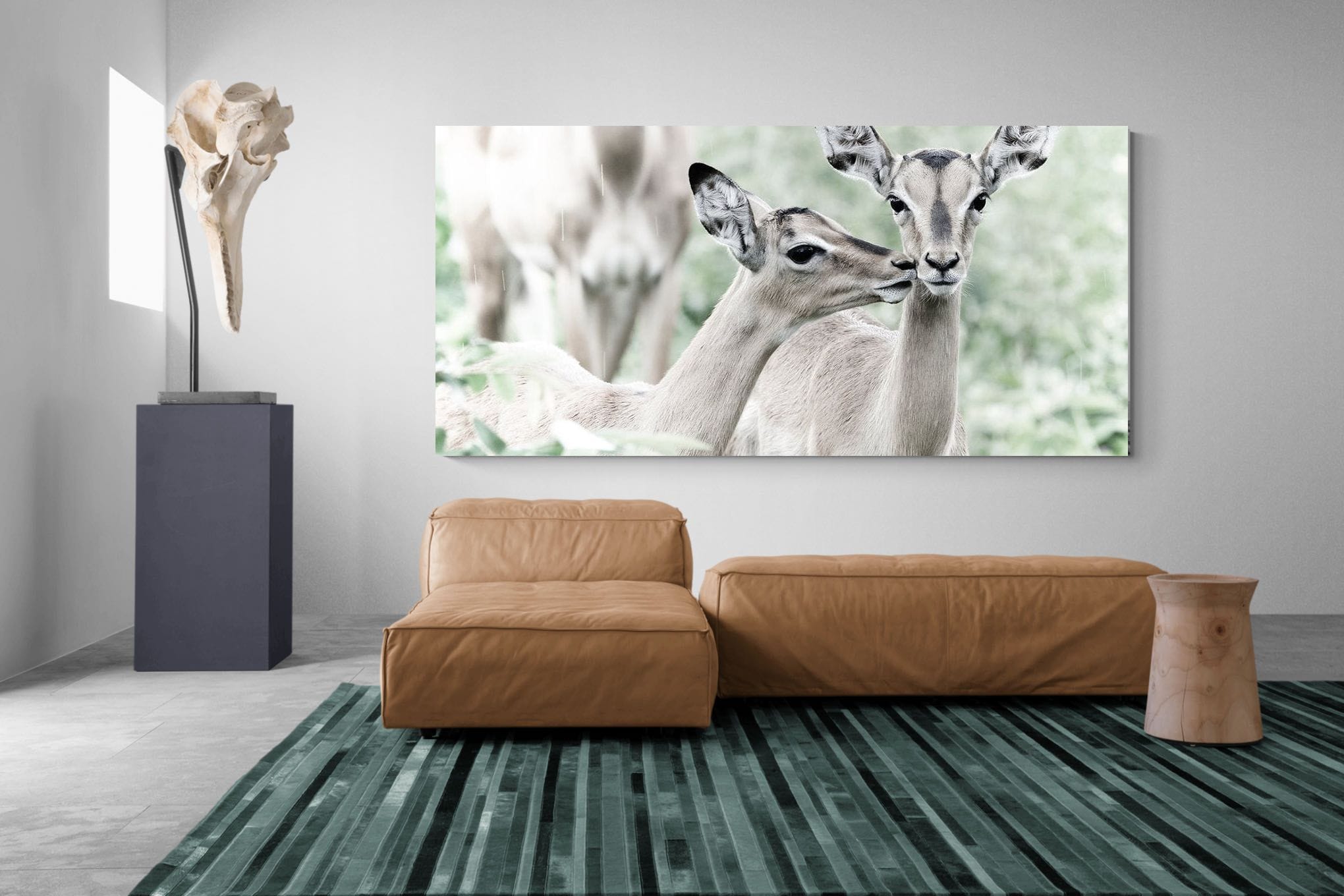 Impala Kisses-Wall_Art-275 x 130cm-Mounted Canvas-No Frame-Pixalot