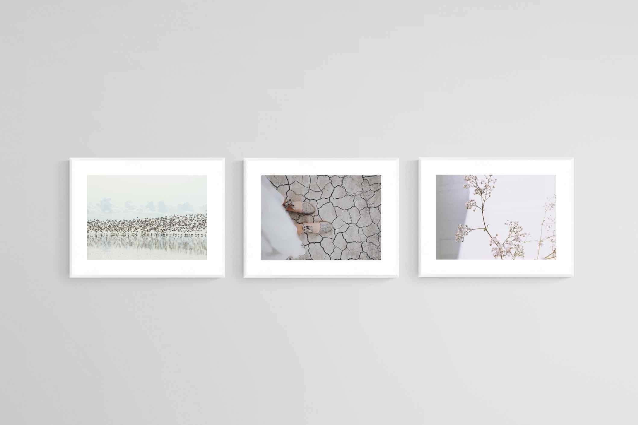 In Touch with Nature Set-Wall_Art-60 x 45cm (x3)-Framed Print-White-Pixalot