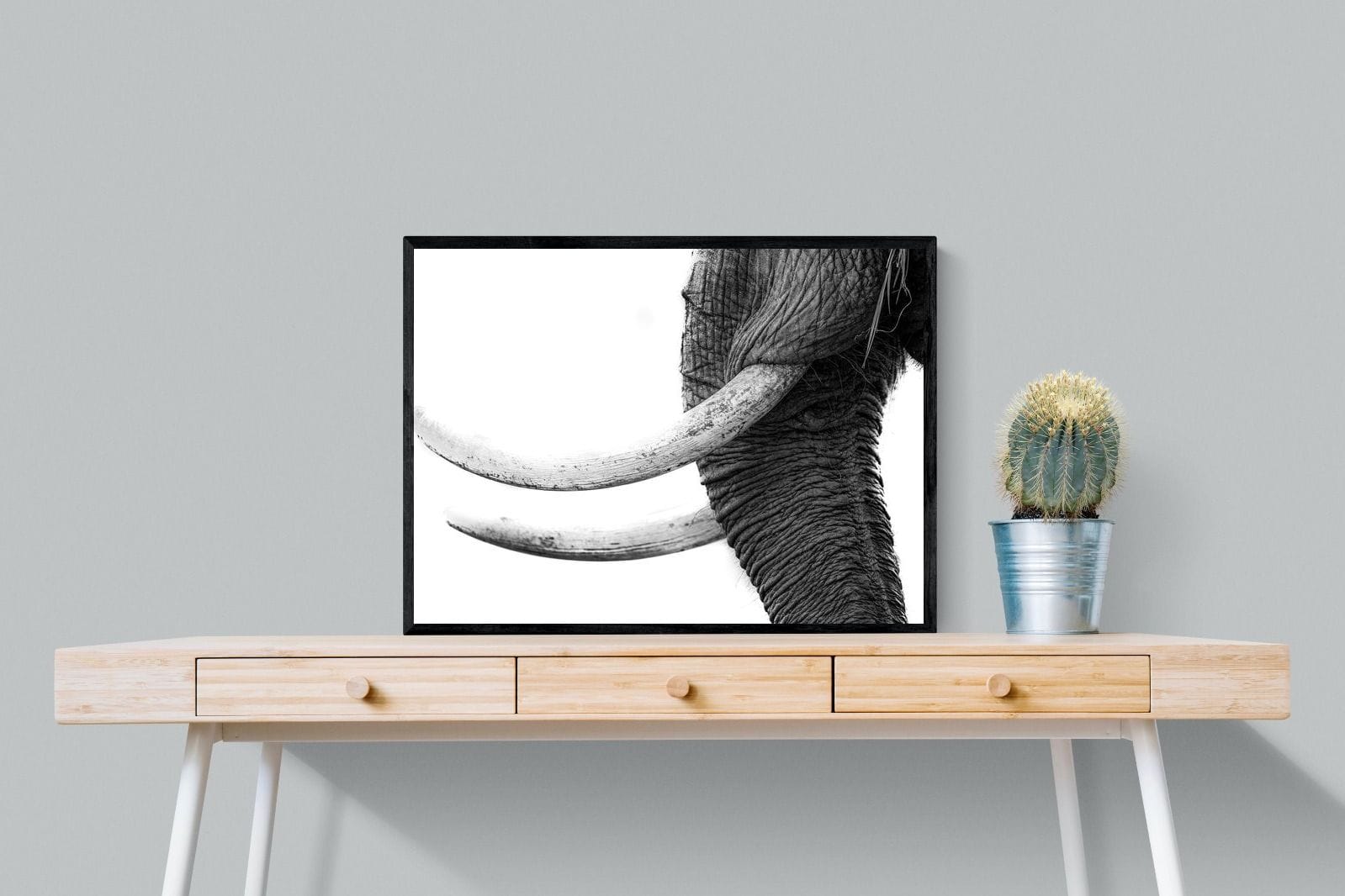Ivory-Wall_Art-80 x 60cm-Mounted Canvas-Black-Pixalot