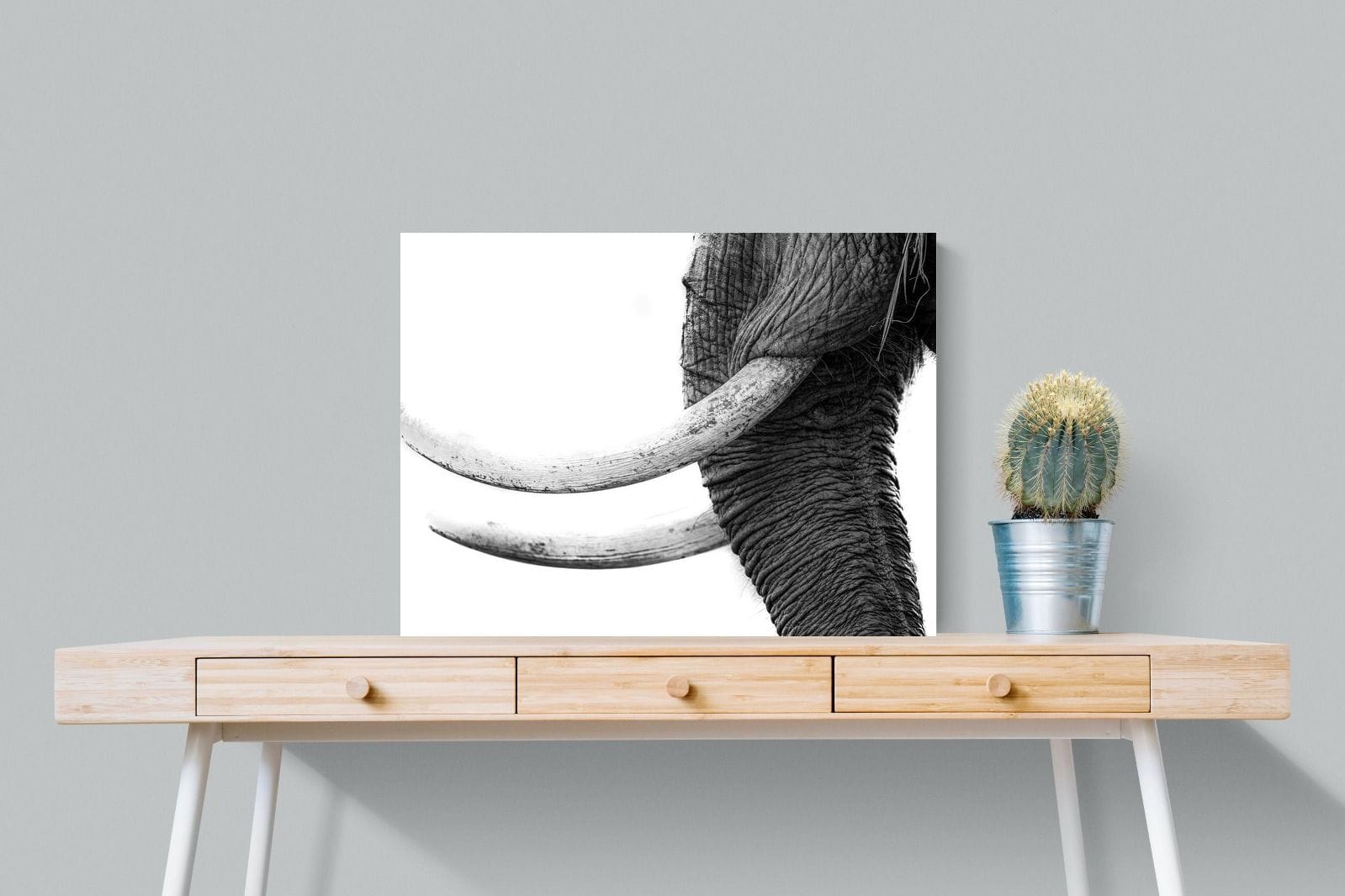 Ivory-Wall_Art-80 x 60cm-Mounted Canvas-No Frame-Pixalot