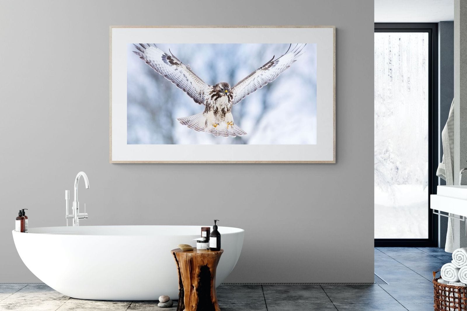 Jackal Buzzard-Wall_Art-180 x 110cm-Framed Print-Wood-Pixalot