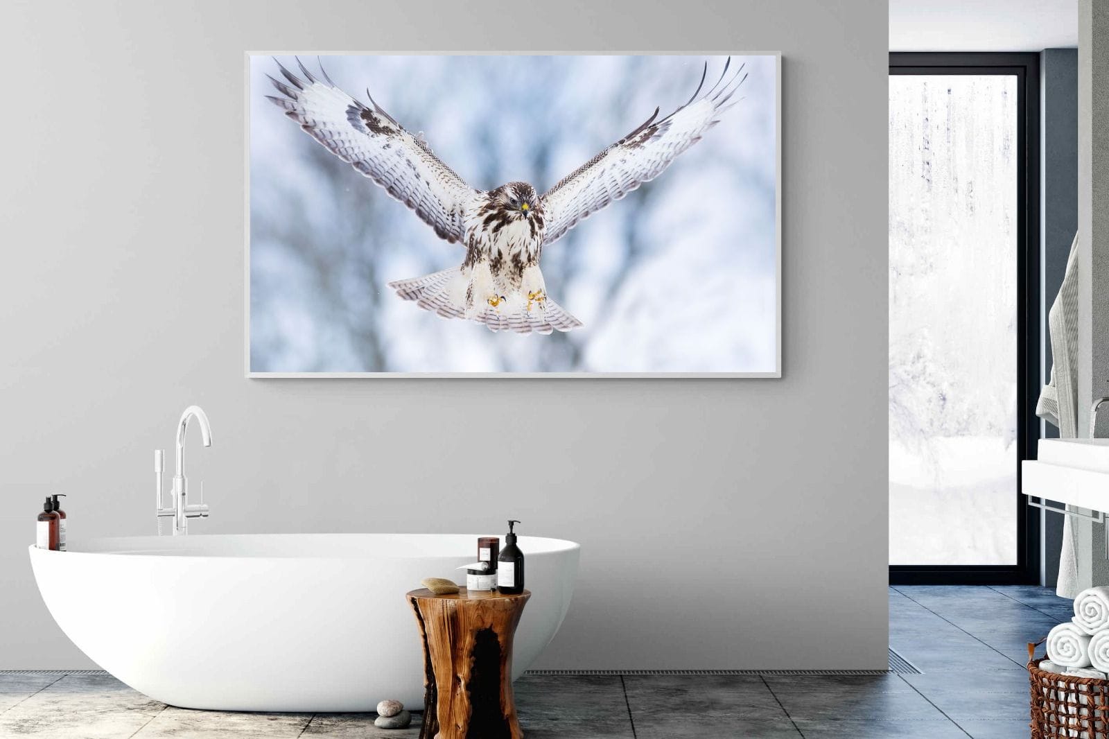 Jackal Buzzard-Wall_Art-180 x 110cm-Mounted Canvas-White-Pixalot