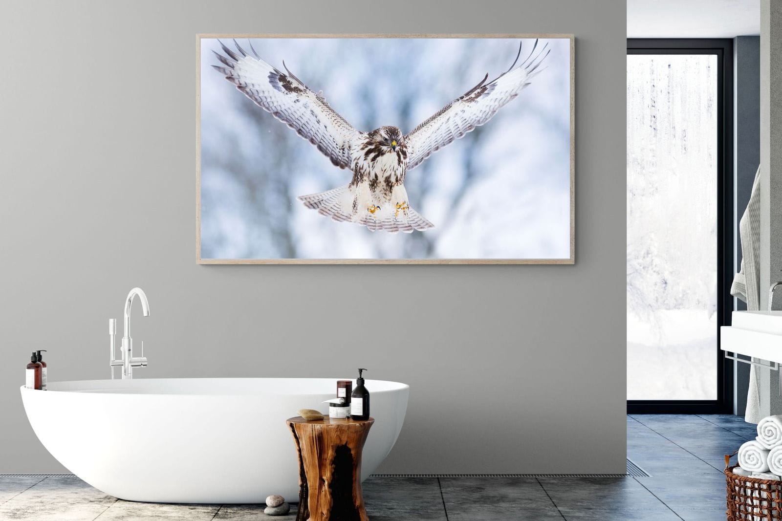 Jackal Buzzard-Wall_Art-180 x 110cm-Mounted Canvas-Wood-Pixalot