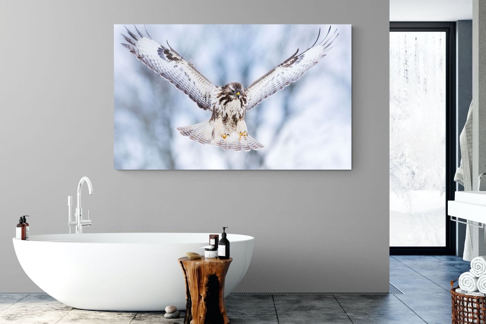 Jackal Buzzard-Wall_Art-180 x 110cm-Mounted Canvas-No Frame-Pixalot