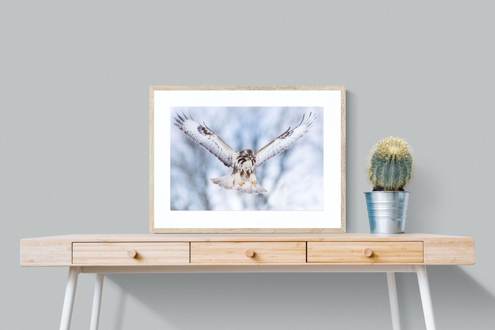Jackal Buzzard-Wall_Art-80 x 60cm-Framed Print-Wood-Pixalot