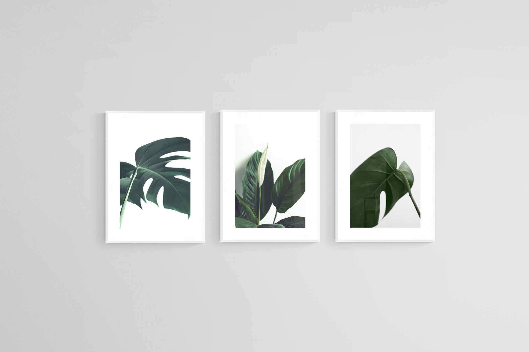 Leaf & Let Live-Wall_Art-45 x 60cm (x3)-Framed Print-White-Pixalot