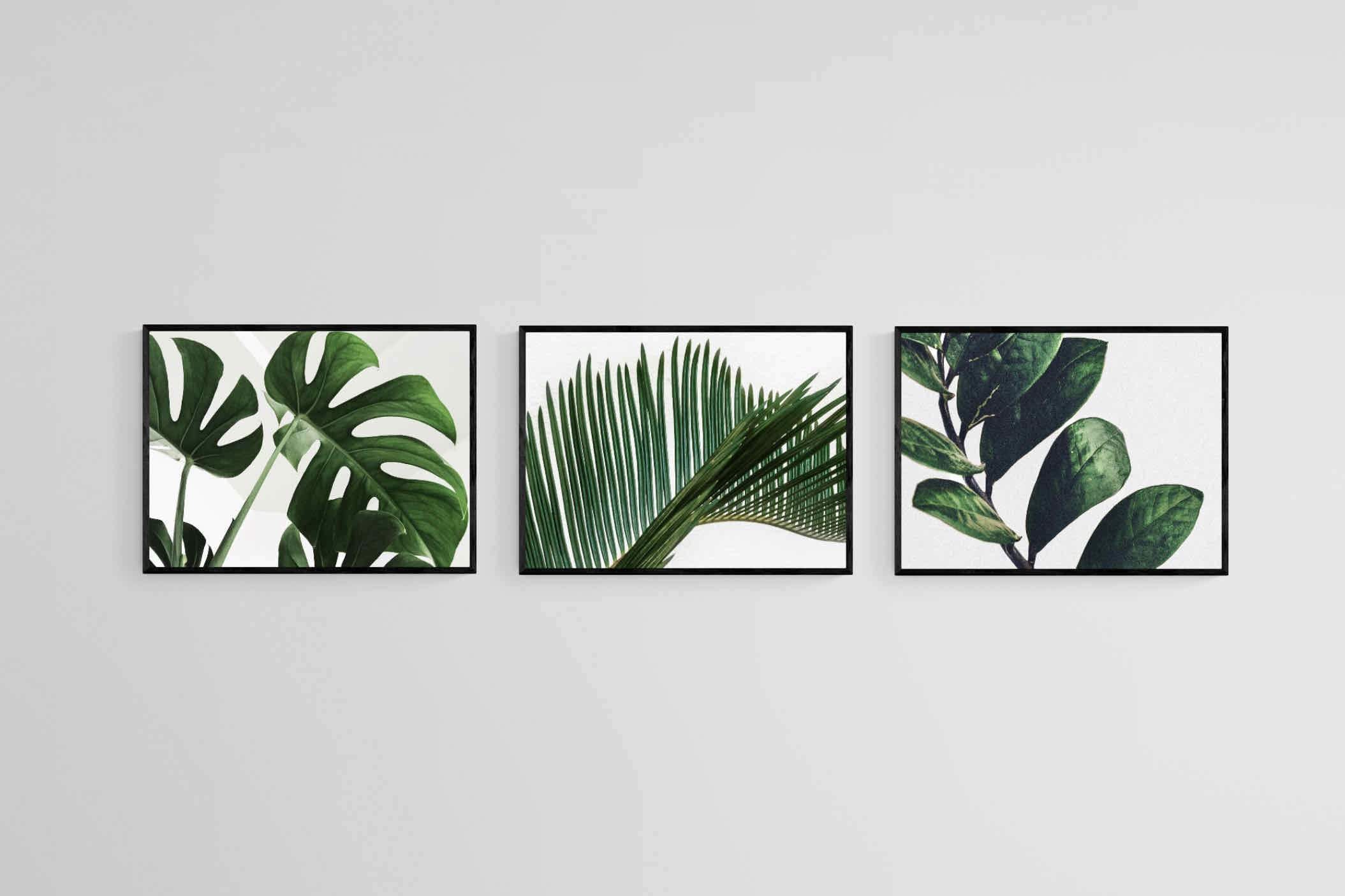 Leafy Trio-Wall_Art-60 x 45cm (x3)-Mounted Canvas-Black-Pixalot