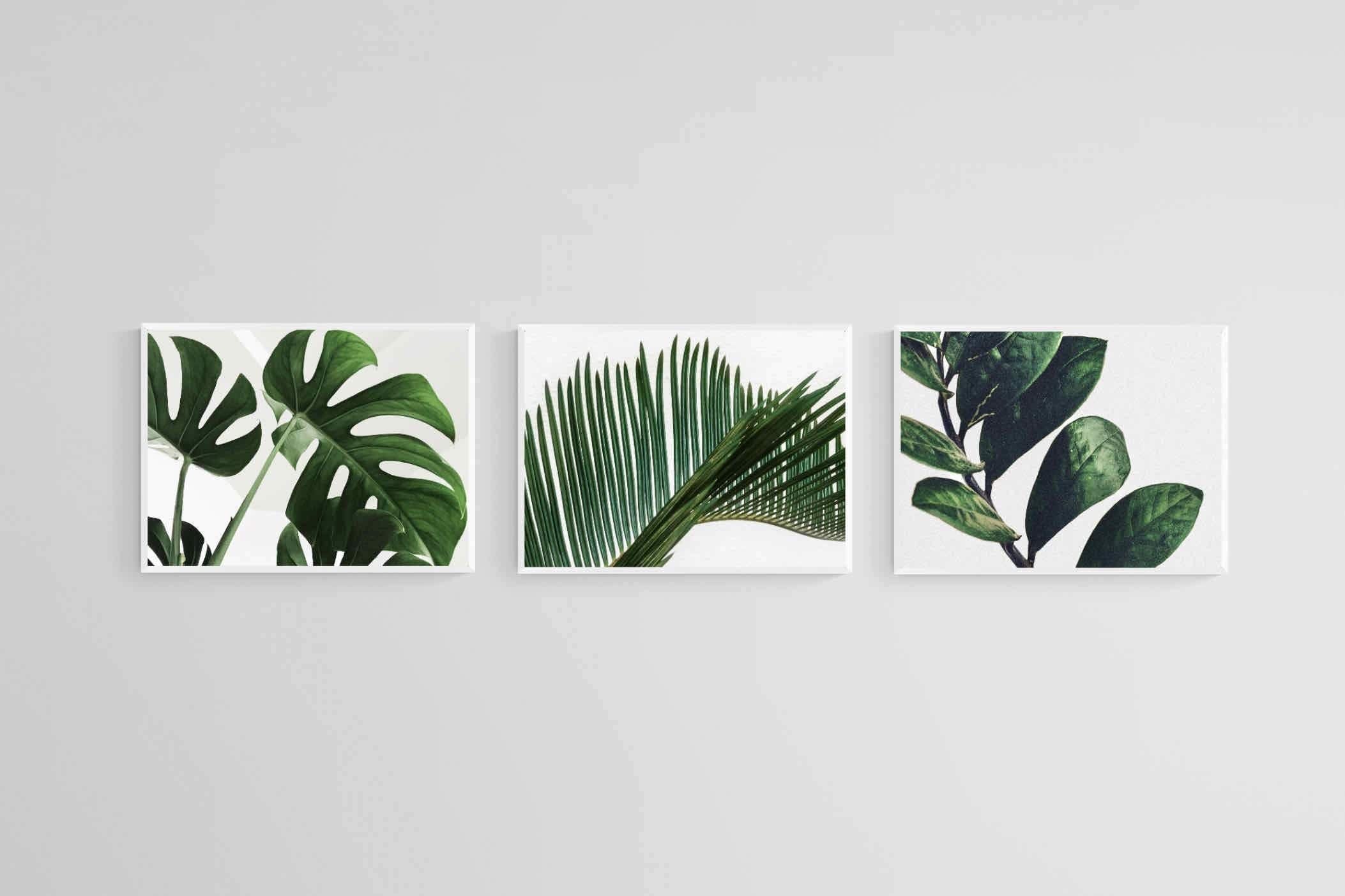 Leafy Trio-Wall_Art-60 x 45cm (x3)-Mounted Canvas-White-Pixalot