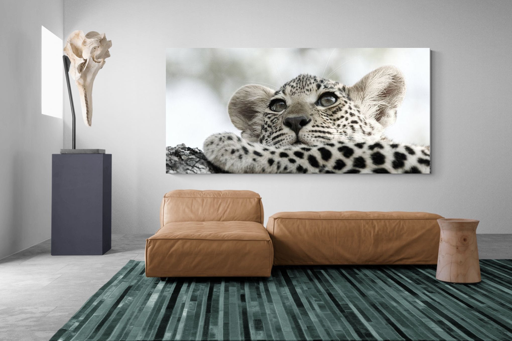 Leopard Cub-Wall_Art-275 x 130cm-Mounted Canvas-No Frame-Pixalot