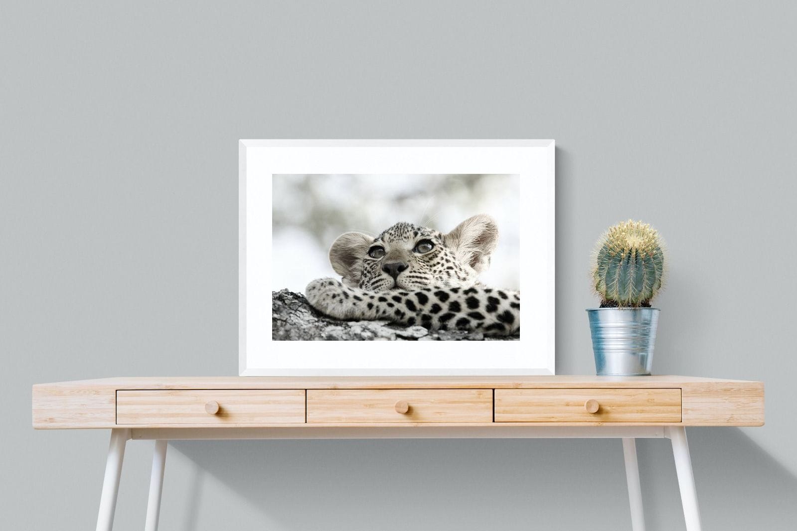 Leopard Cub-Wall_Art-80 x 60cm-Framed Print-White-Pixalot