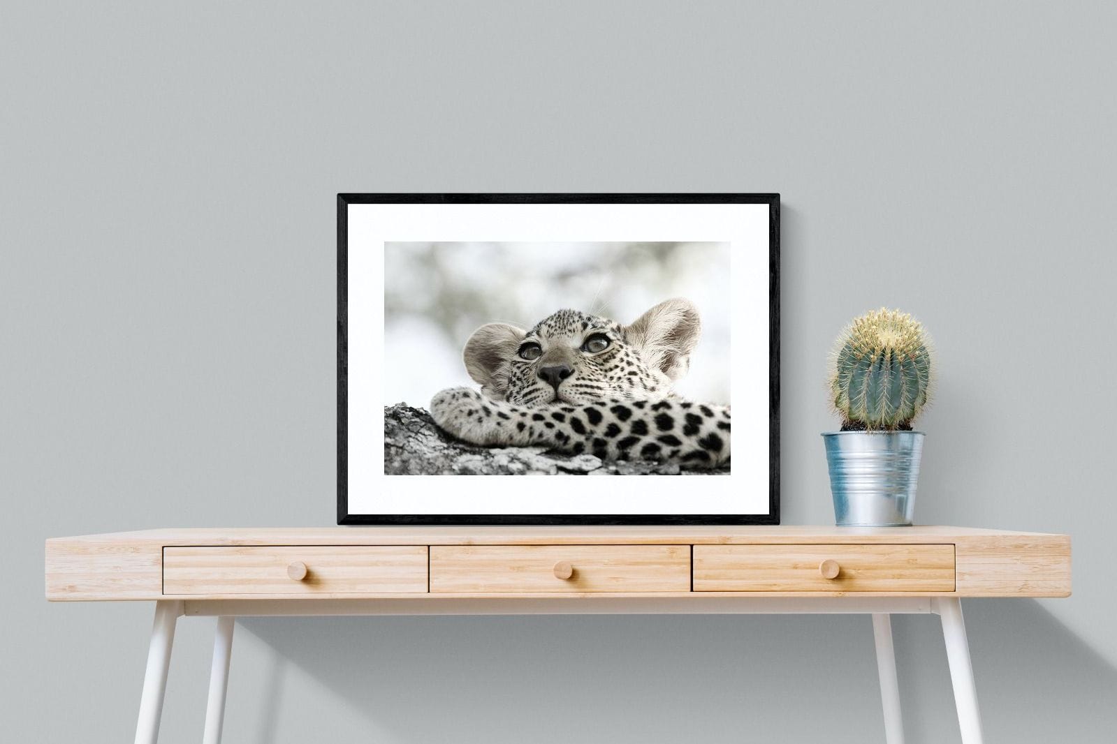 Leopard Cub-Wall_Art-80 x 60cm-Framed Print-Black-Pixalot