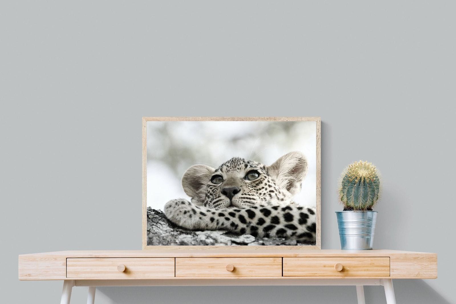 Leopard Cub-Wall_Art-80 x 60cm-Mounted Canvas-Wood-Pixalot